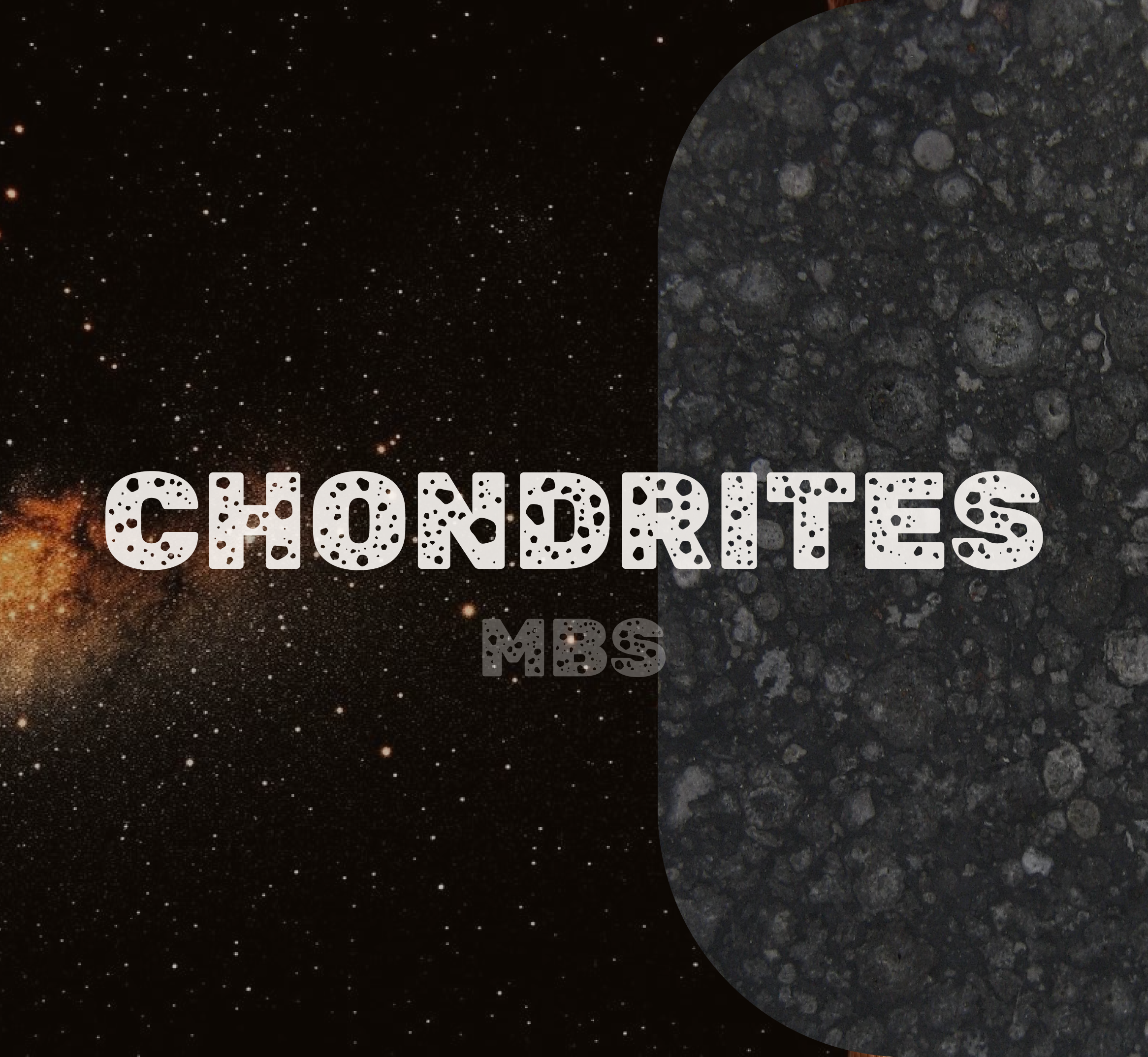 Chondrites