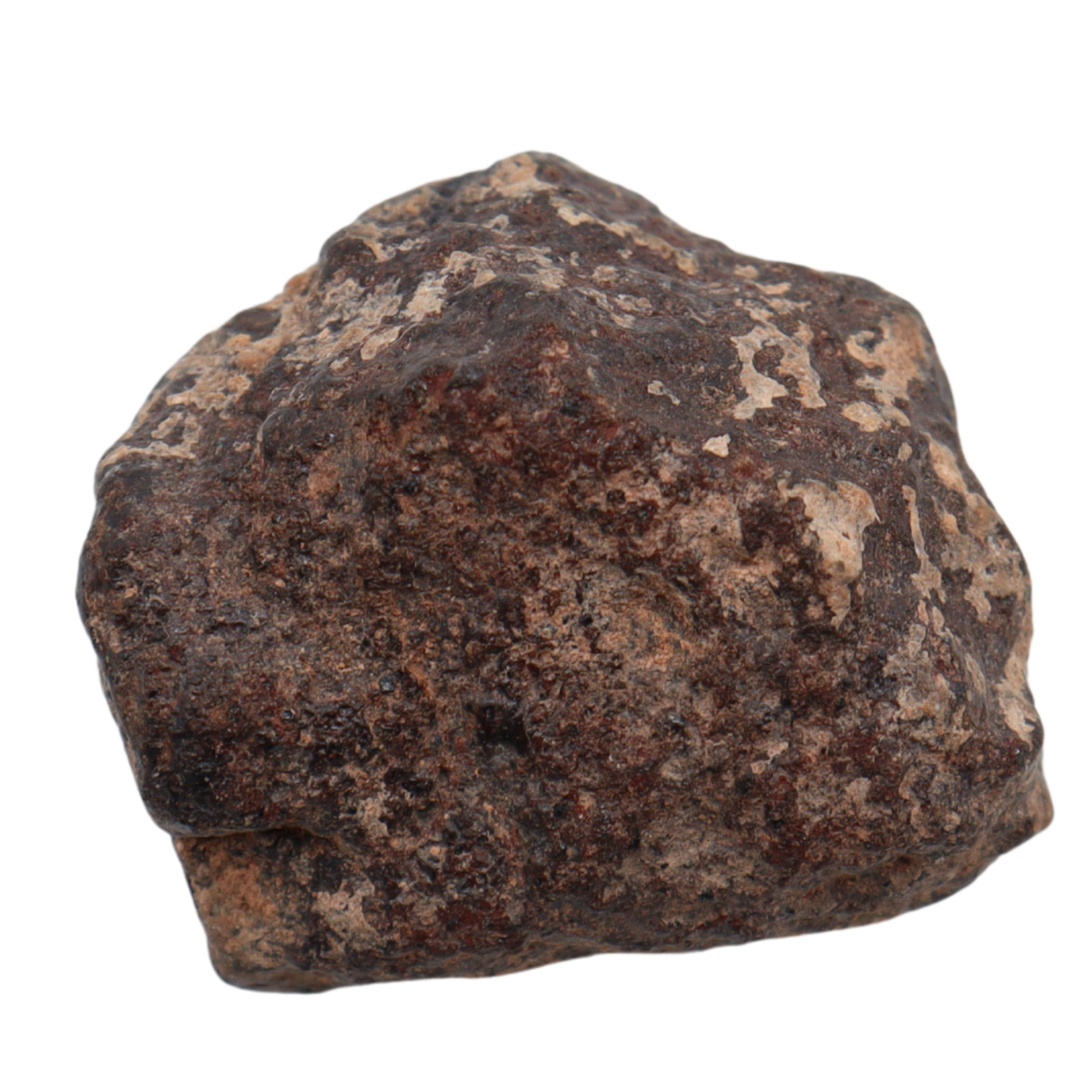 Rafsa 007 Meteorite Plutonic Angrite (17.3 g) - MBS meteorite 