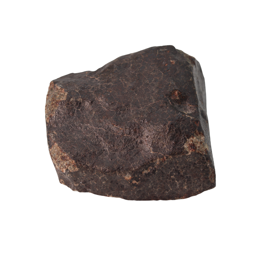 NWA 13281 Meteorite Ordinary Chondrite L5 (285 g) - MBS meteorite 