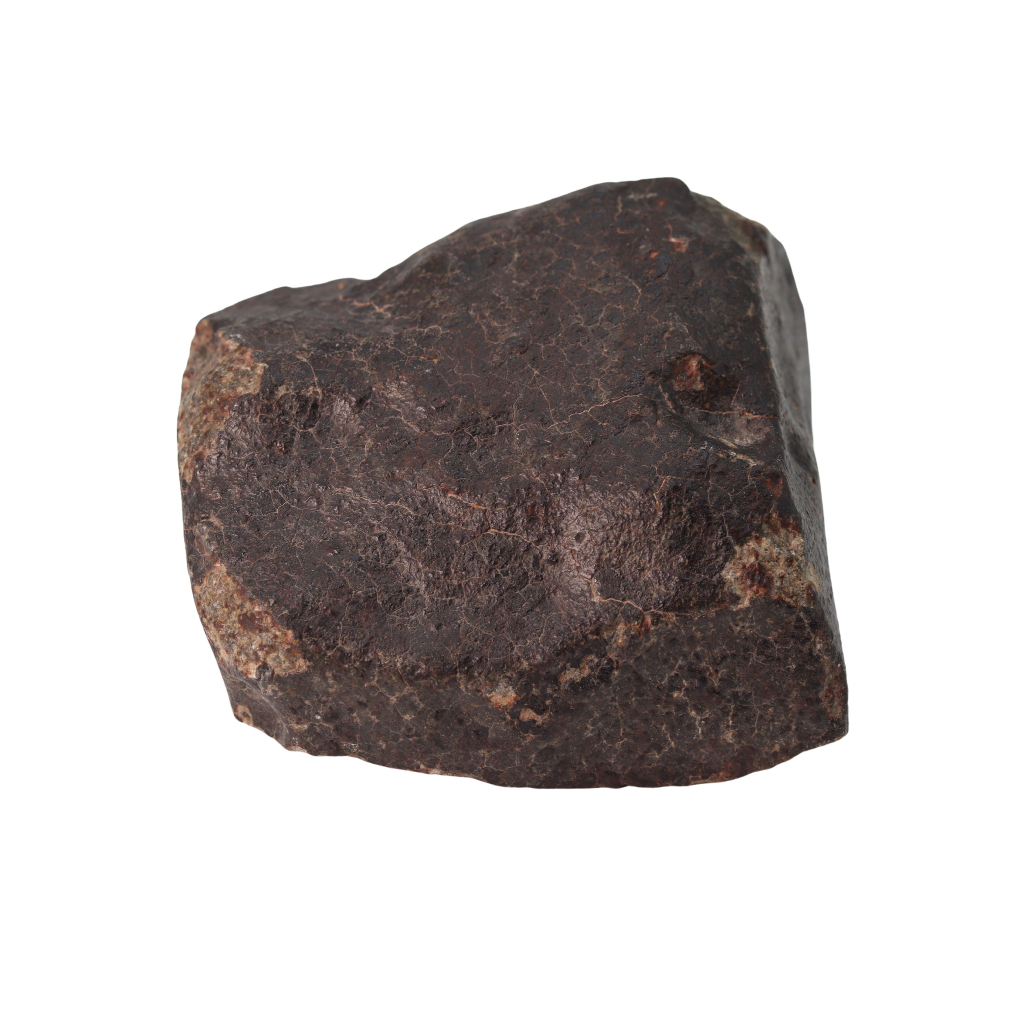 NWA 13281 Meteorite Ordinary Chondrite L5 (285 g) - MBS meteorite 