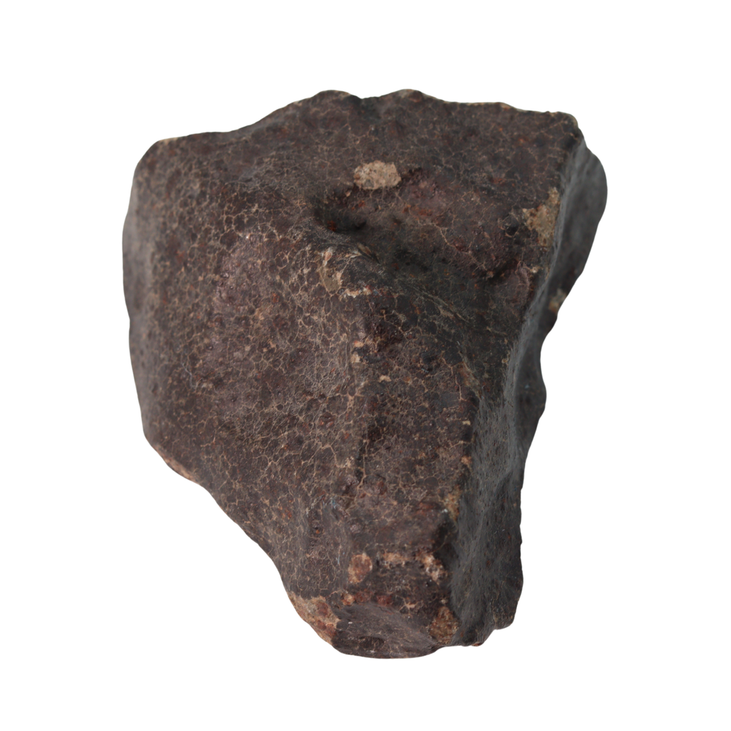 NWA 13281 Meteorite Ordinary Chondrite L5 (219 g) - MBS meteorite 