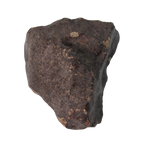 NWA 13281 Meteorite Ordinary Chondrite L5 (219 g) - MBS meteorite 