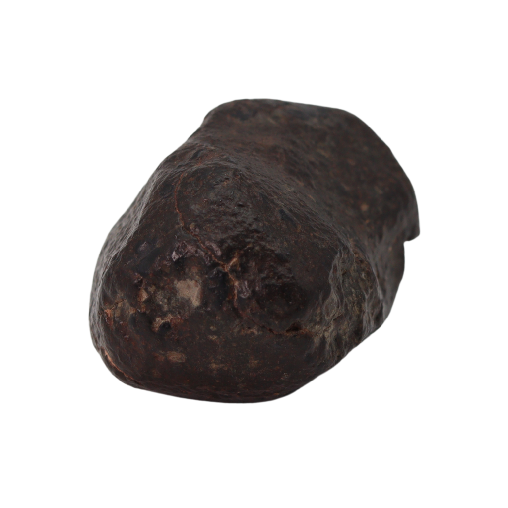 NWA 869 Meteorite Ordinary Chondrite Regolith Breccia (22.11 g) - MBS meteorite 