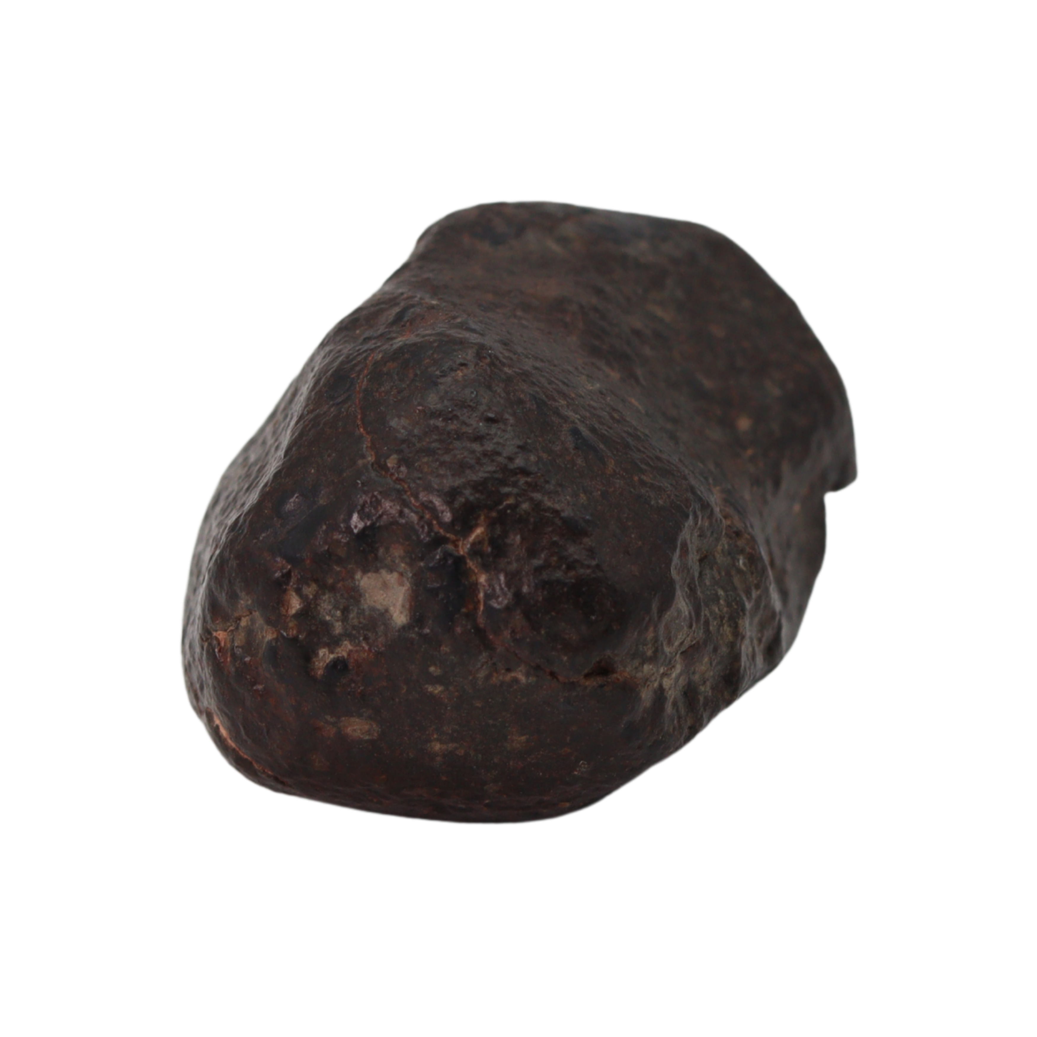 NWA 869 Meteorite Ordinary Chondrite Regolith Breccia (22.11 g) - MBS meteorite 