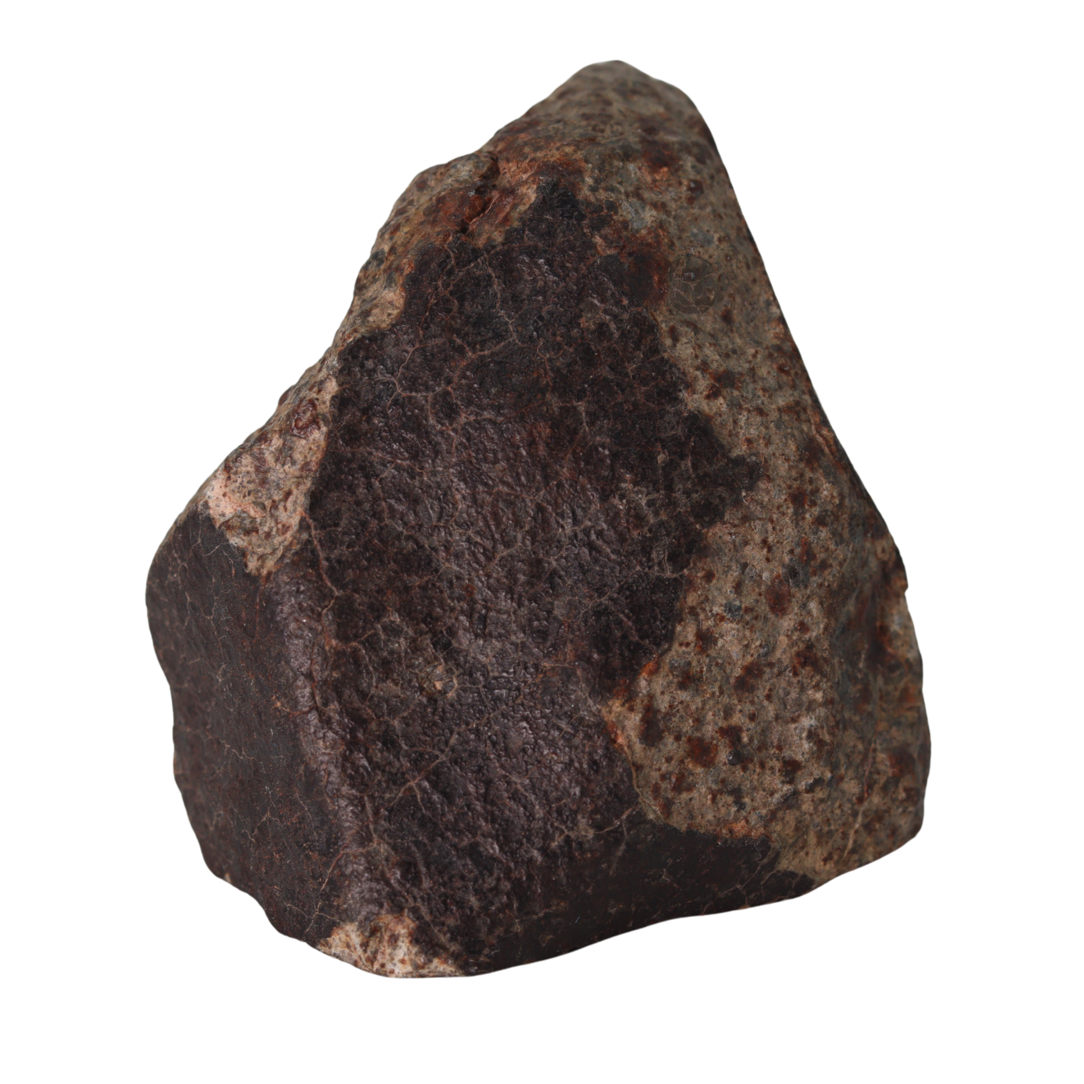 NWA 13281 Meteorite L5 Chondrite (165 g). - MBS meteorite 