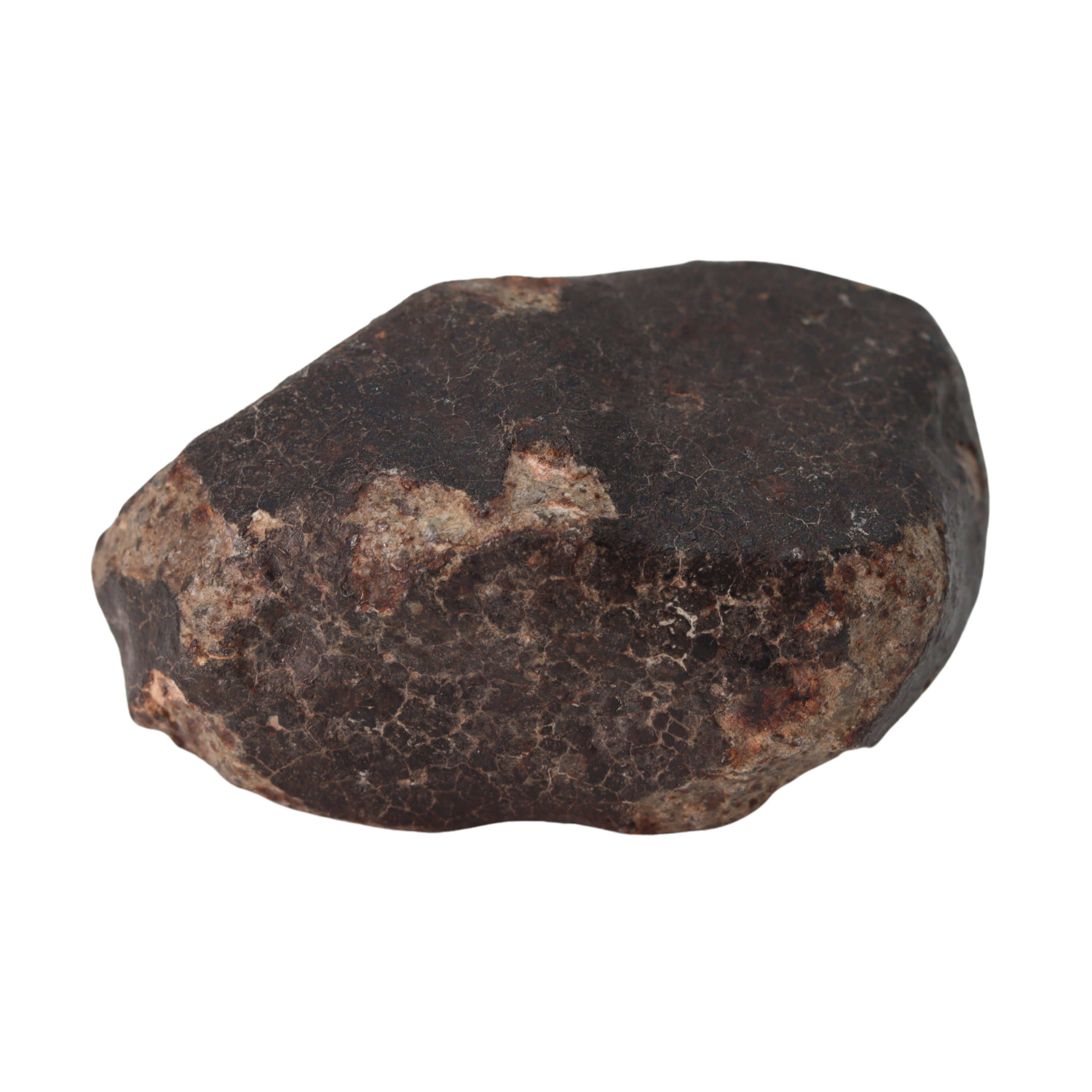 NWA 13281 Meteorite Ordinary Chondrite L5 (109 g) - MBS meteorite 