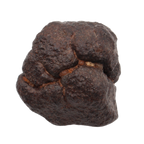 NWA 16208 Meteorite Winonaite Primitive Achondrite (8.66 g). - MBS meteorite 