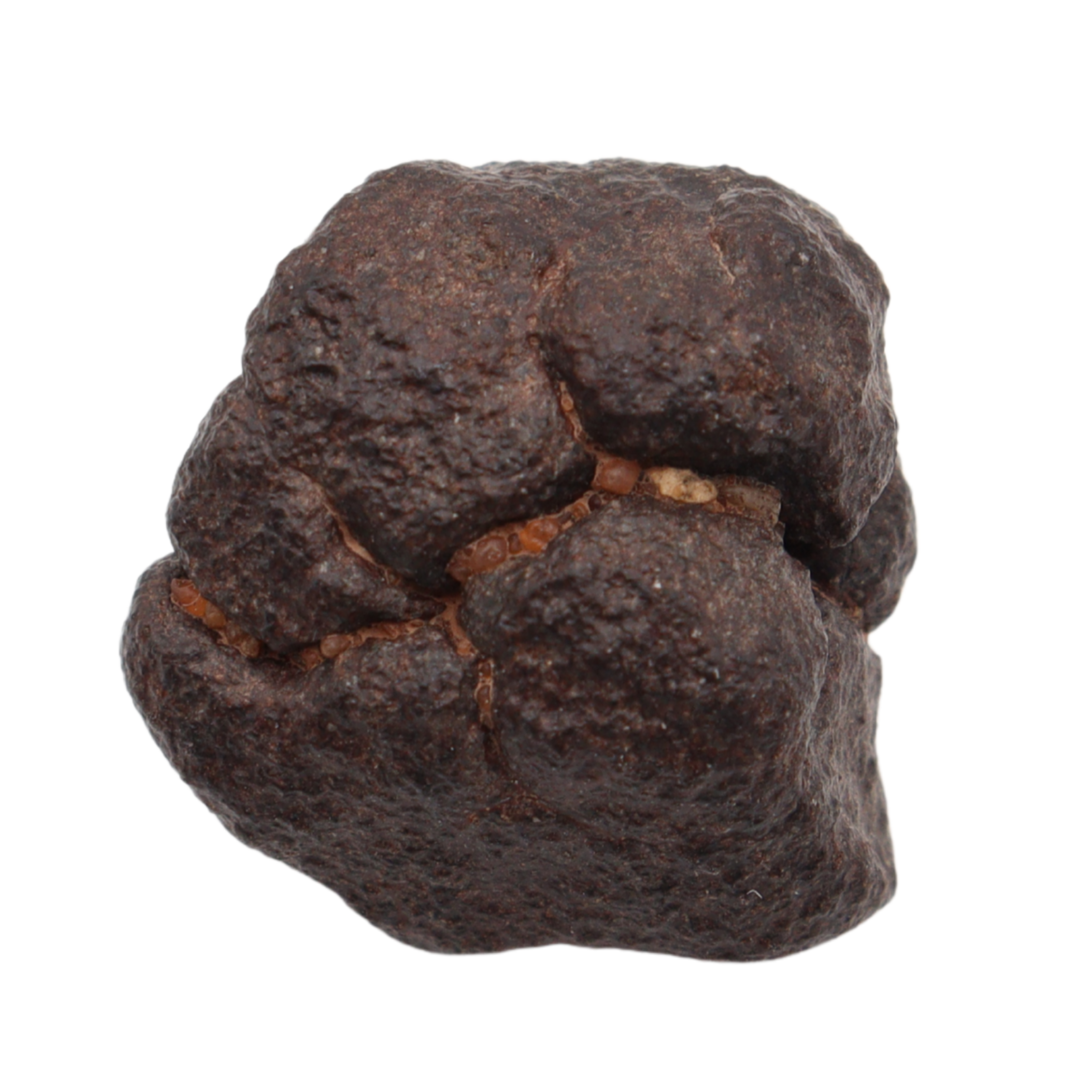 NWA 16208 Meteorite Winonaite Primitive Achondrite (8.66 g). - MBS meteorite 