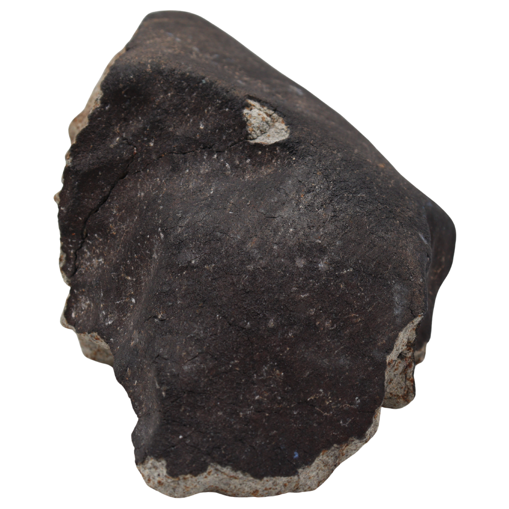 Tanezrouft 090 Meteorite Ordinary Chondrite L6 (1742 g) - MBS meteorite 