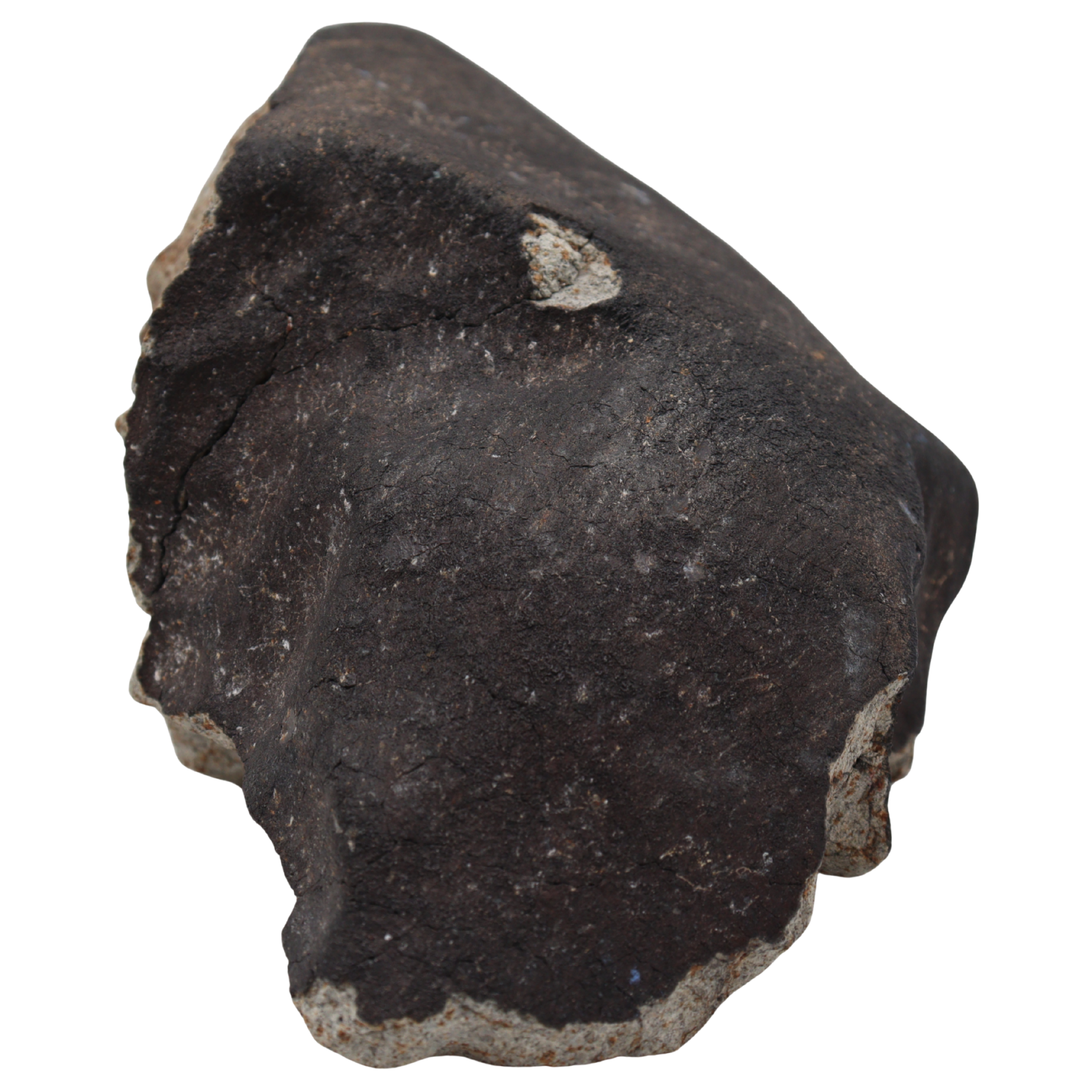 Tanezrouft 090 Meteorite Ordinary Chondrite L6 (1742 g) - MBS meteorite 
