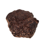 Rafsa 007 Meteorite Angrite Achondrite (6.3 g) - MBS meteorite 