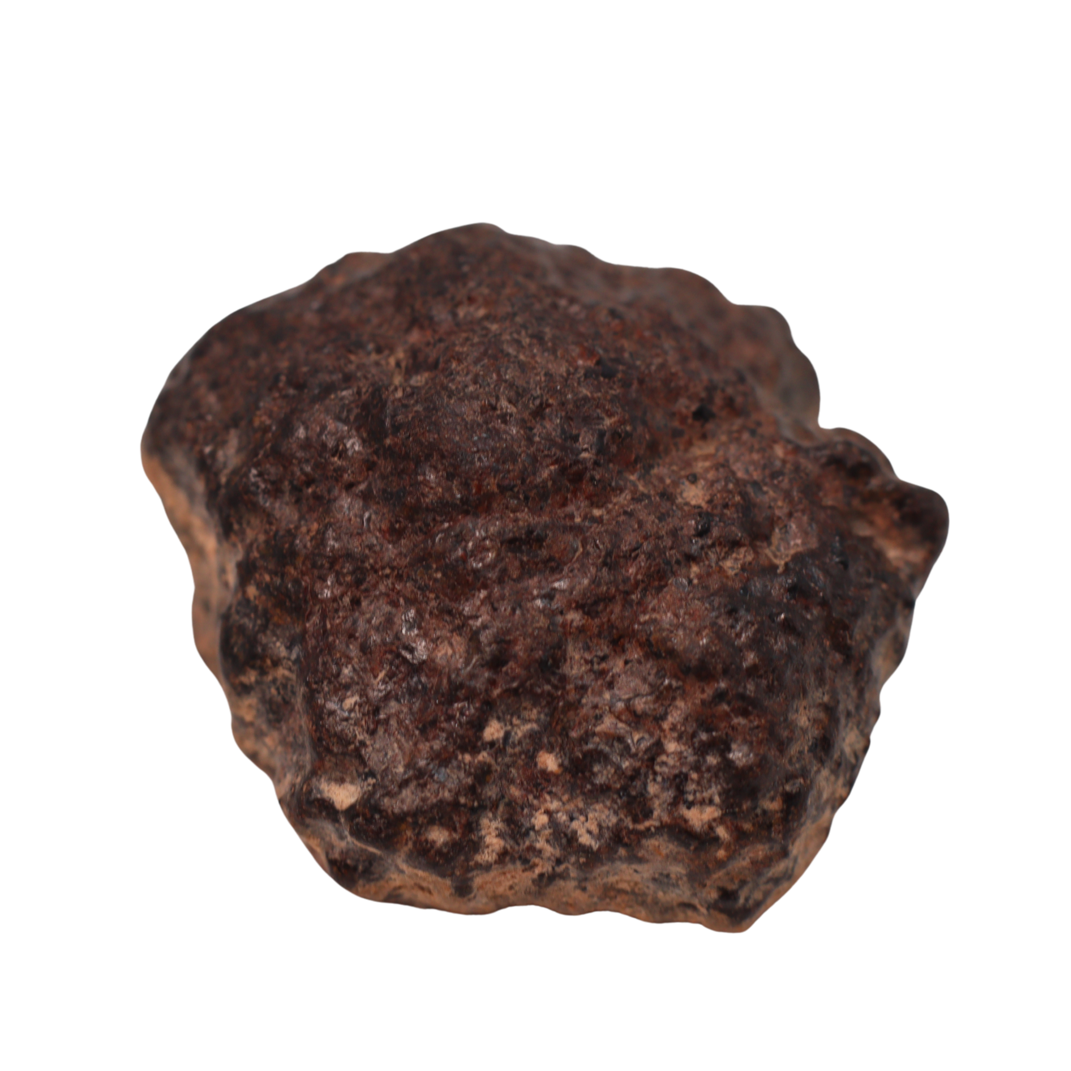 Rafsa 007 Meteorite Angrite Achondrite (6.3 g) - MBS meteorite 