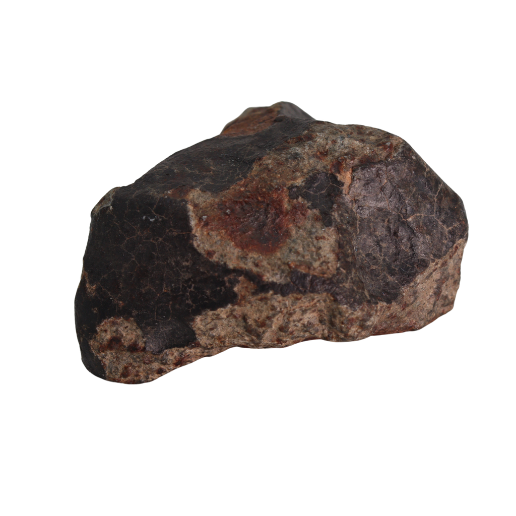 NWA 13281 Meteorite L5 Chondrite Hand Specimen (115 g). - MBS meteorite 