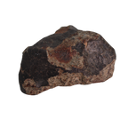 NWA 13281 Meteorite L5 Chondrite Hand Specimen (115 g). - MBS meteorite 