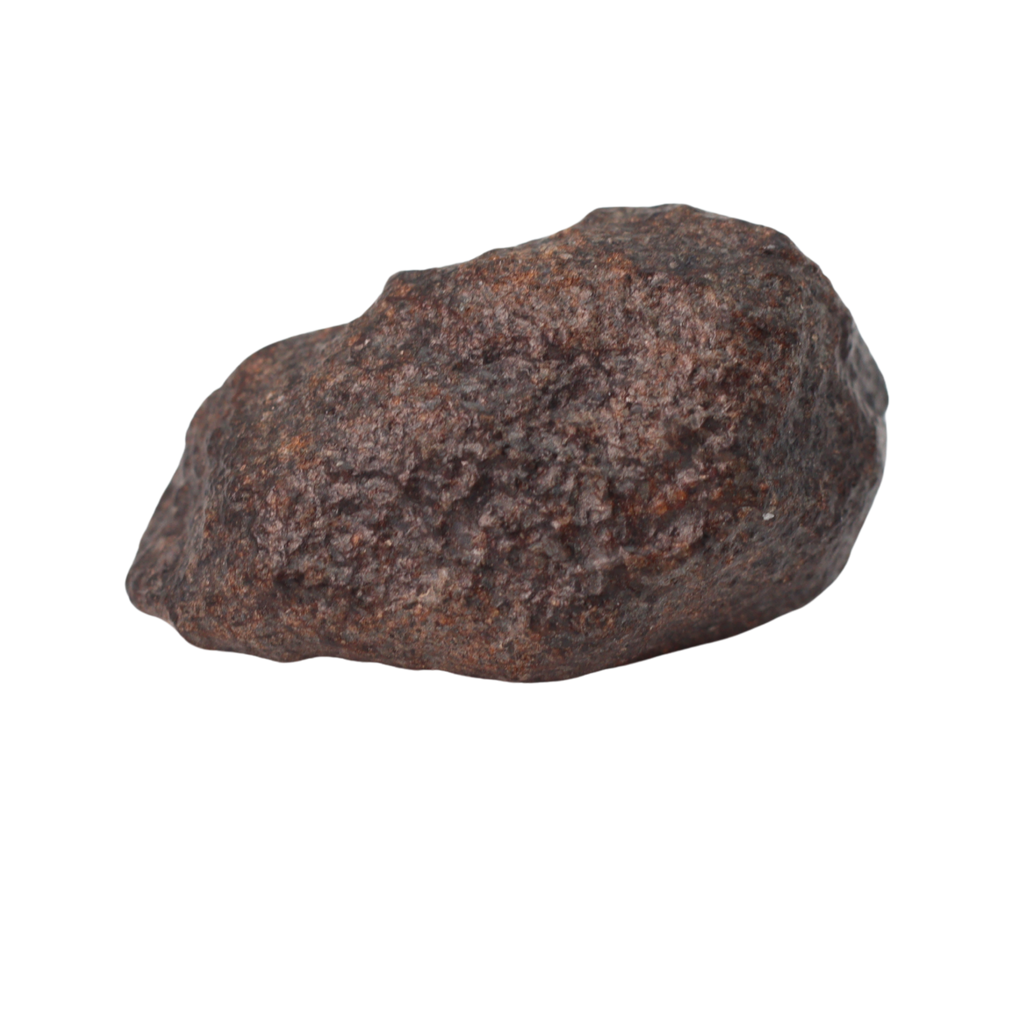 NWA 16208 Meteorite Winonaite Primitive Achondrite (5.7 g). - MBS meteorite 