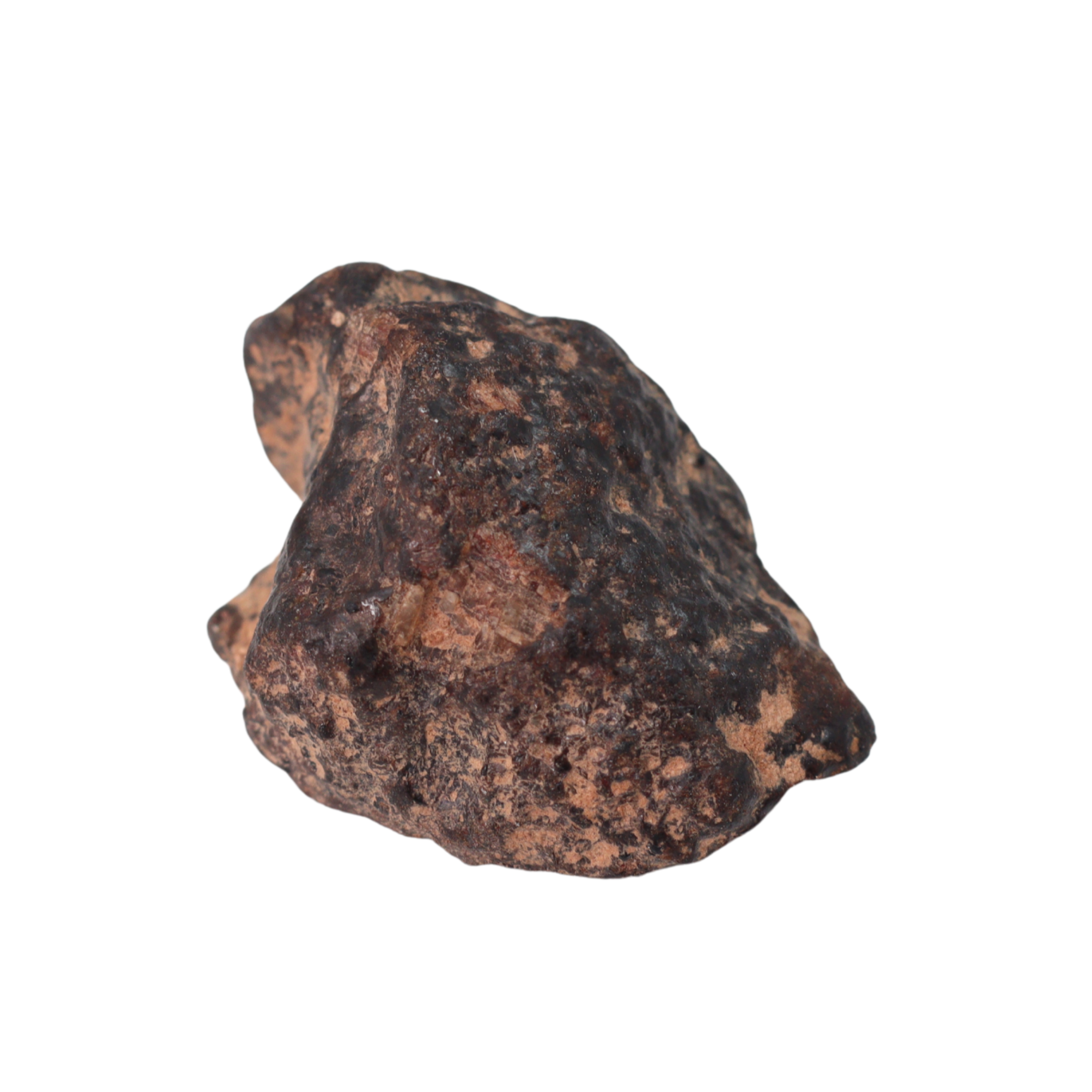 Rafsa 007 Meteorite Plutonic Angrite (3.1 g). - MBS meteorite 