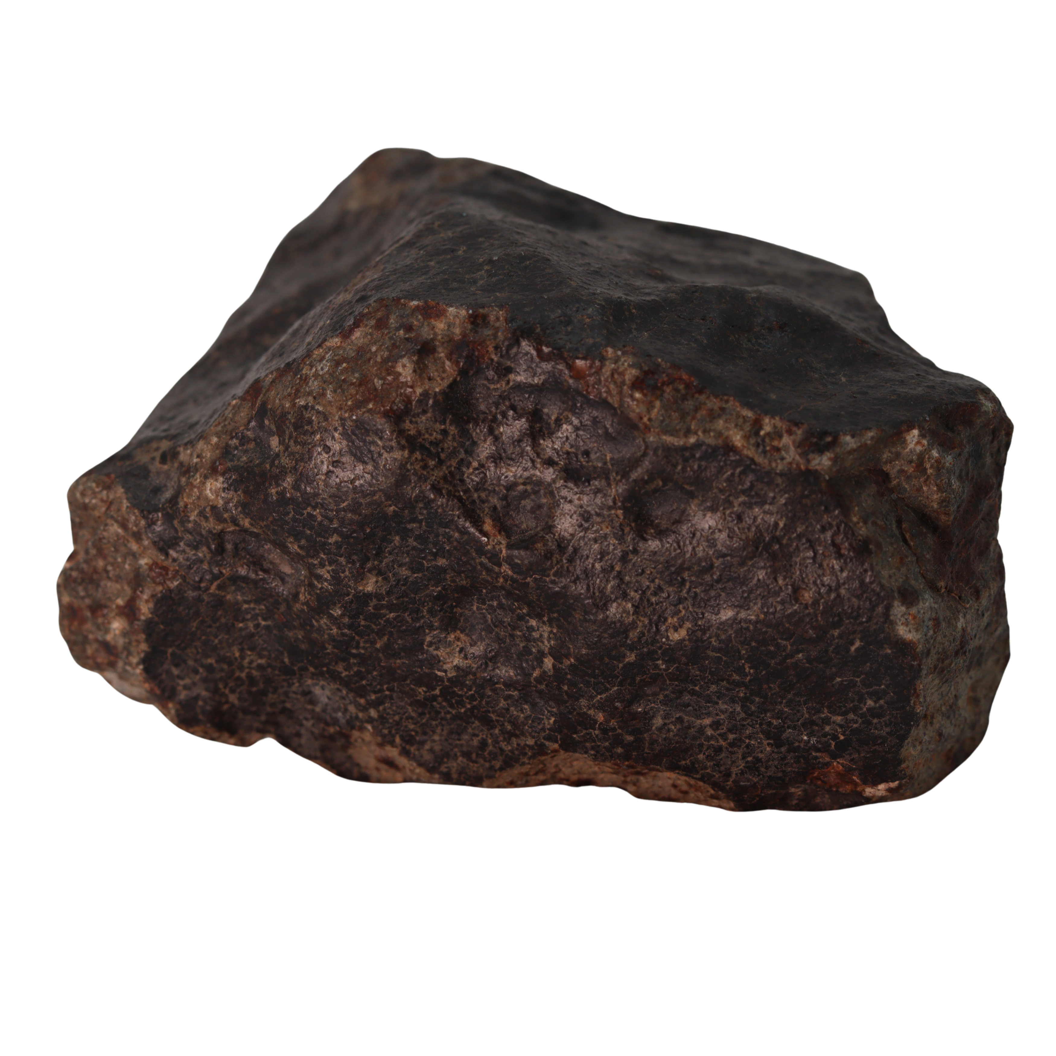 NWA 13281 Meteorite Massive L5 Chondrite Cabinet Specimen (781 g). - MBS meteorite 