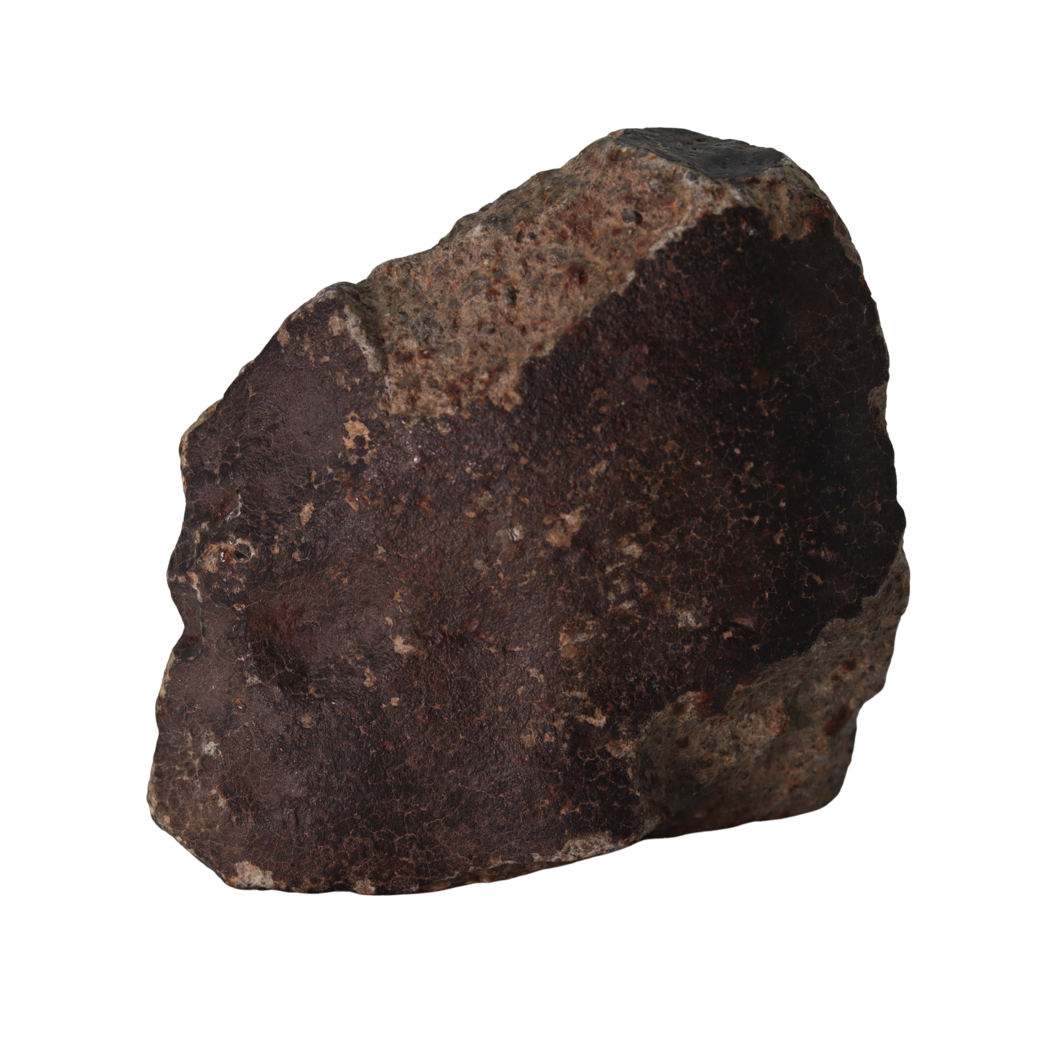 NWA 13281 Meteorite L5 Chondrite with Fusion Crust (175 g). - MBS meteorite 