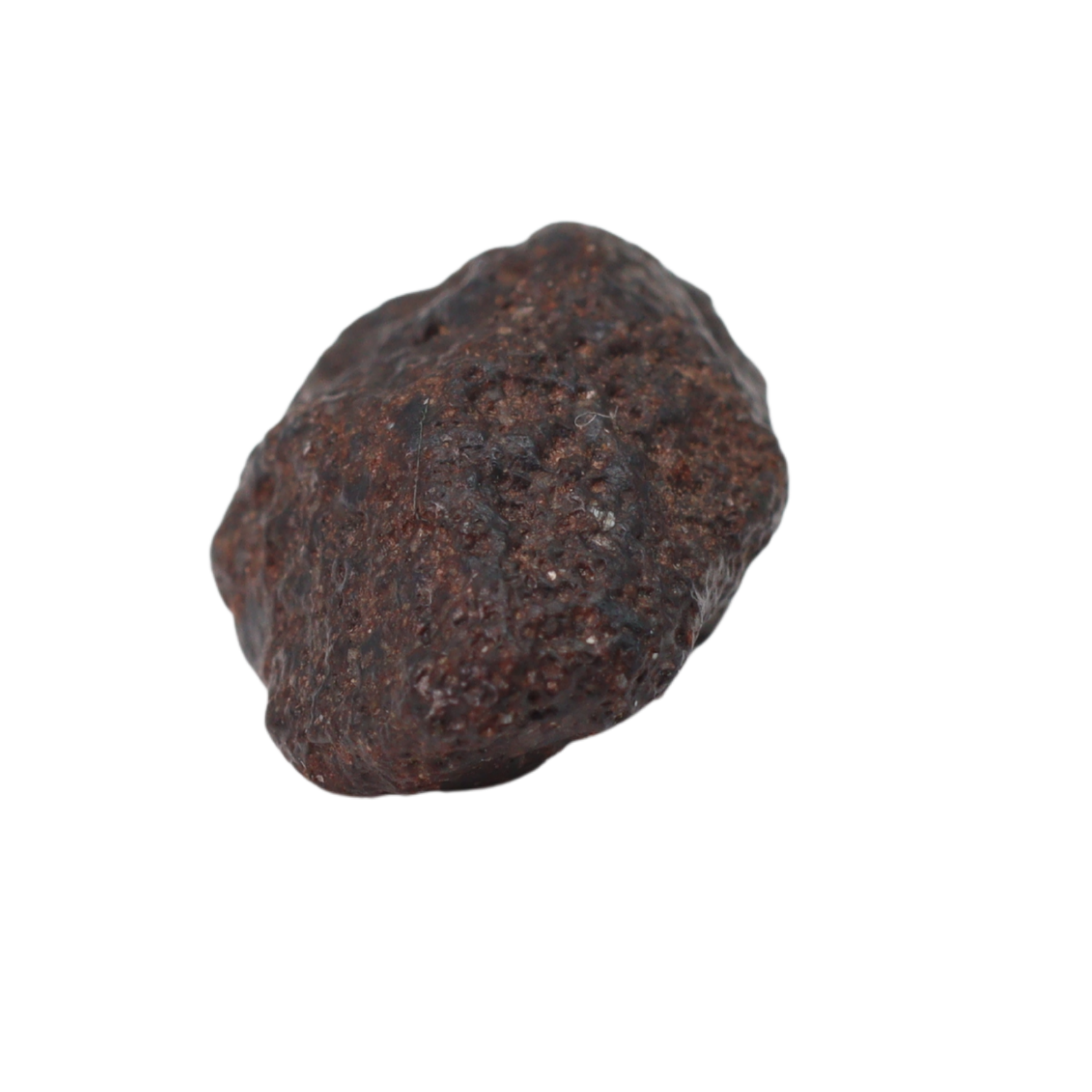 NWA 16208 Meteorite Winonaite Primitive Achondrite (1 g). - MBS meteorite 