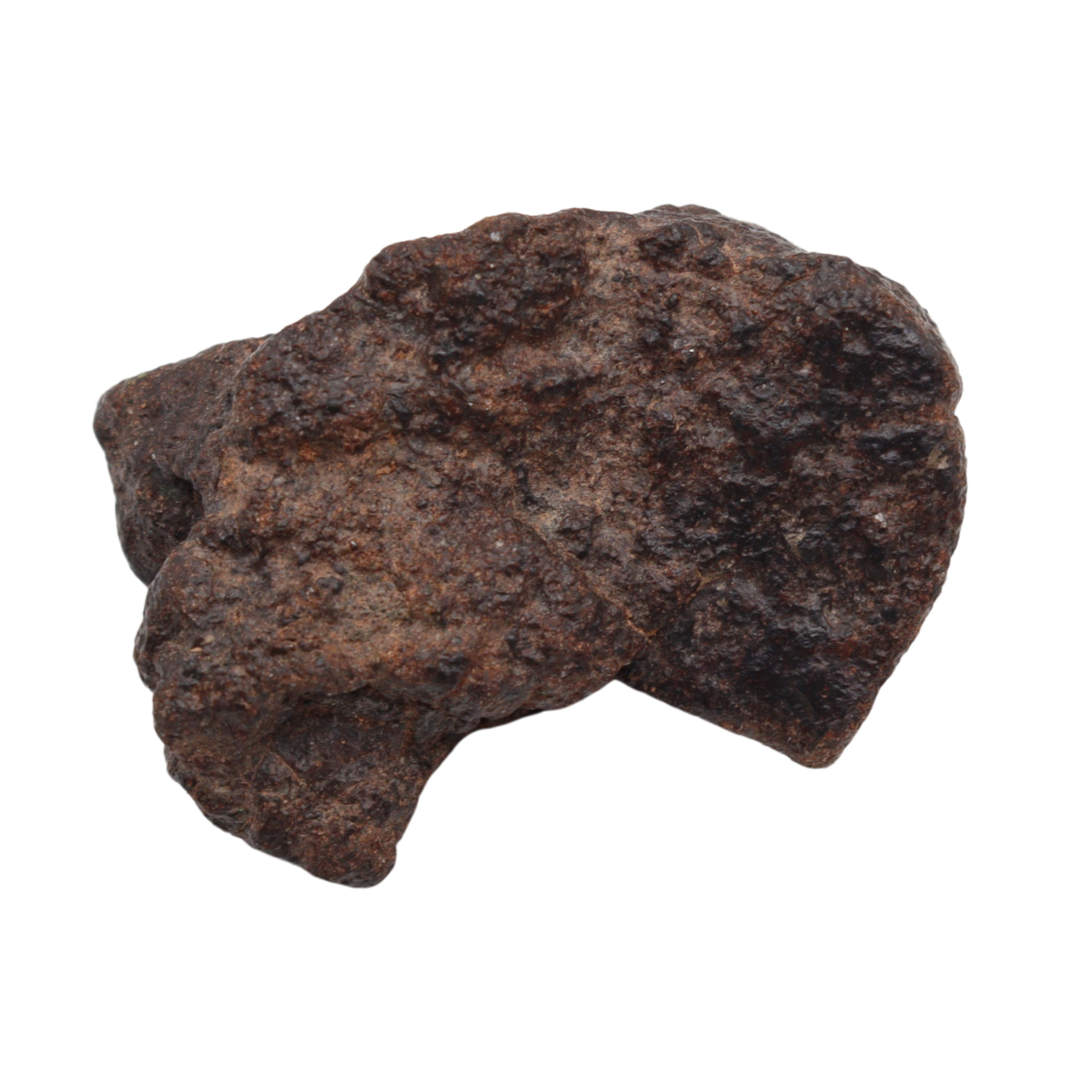 NWA 16208 Meteorite Rare Winonaite Primitive Achondrite(17.9 g). - MBS meteorite 