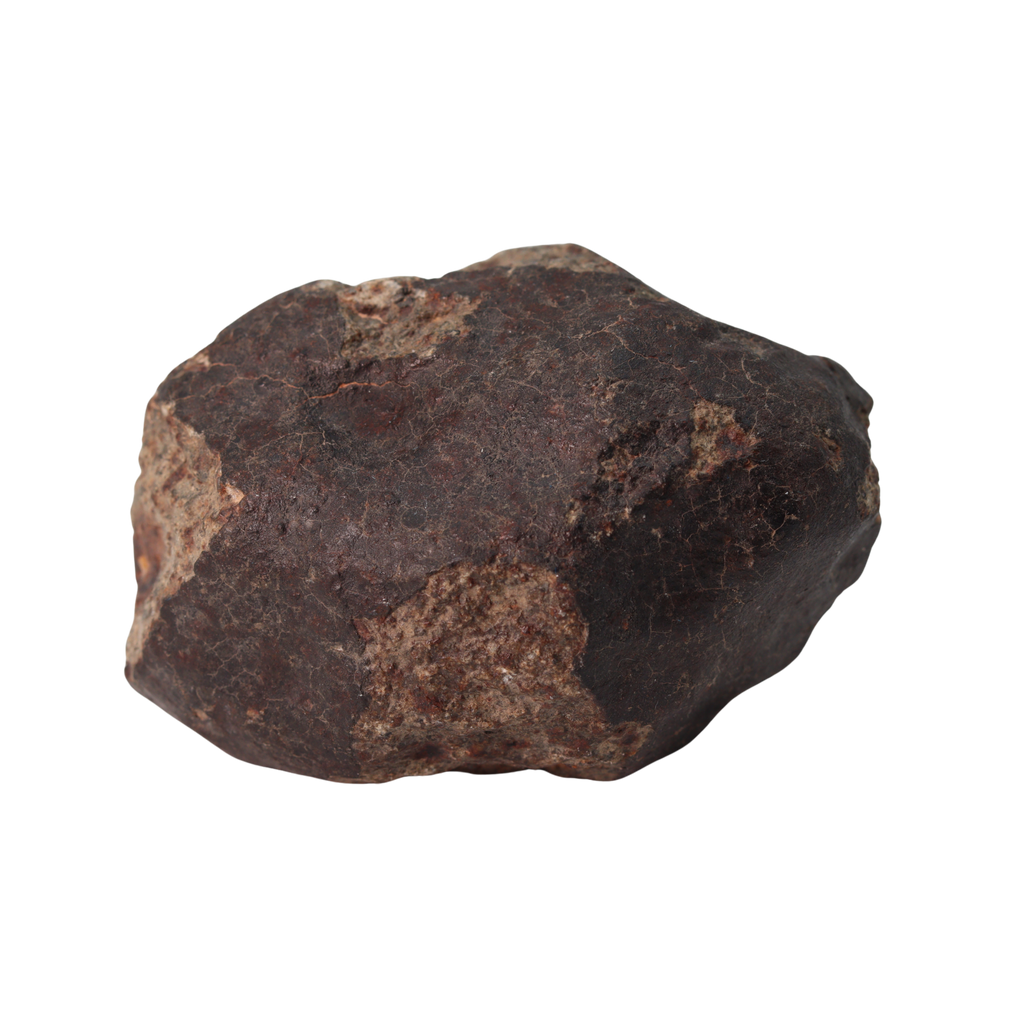 NWA 13281 Meteorite Ordinary Chondrite L5 (250 g) - MBS meteorite 