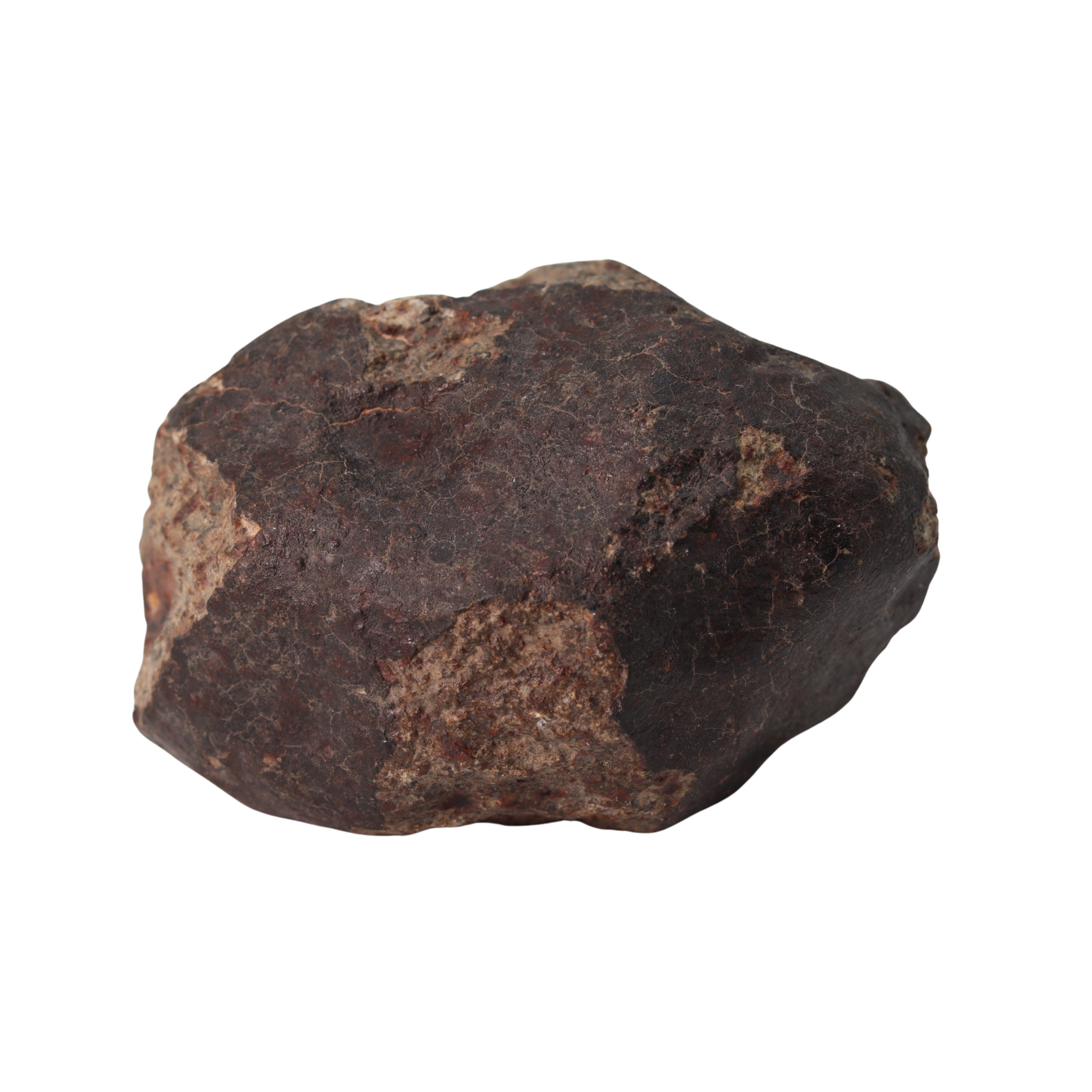 NWA 13281 Meteorite Ordinary Chondrite L5 (250 g) - MBS meteorite 