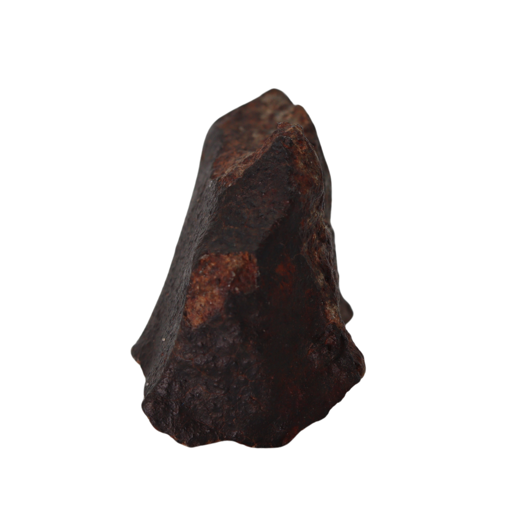 NWA 13281 Meteorite L5 Chondrite (50 g). - MBS meteorite 