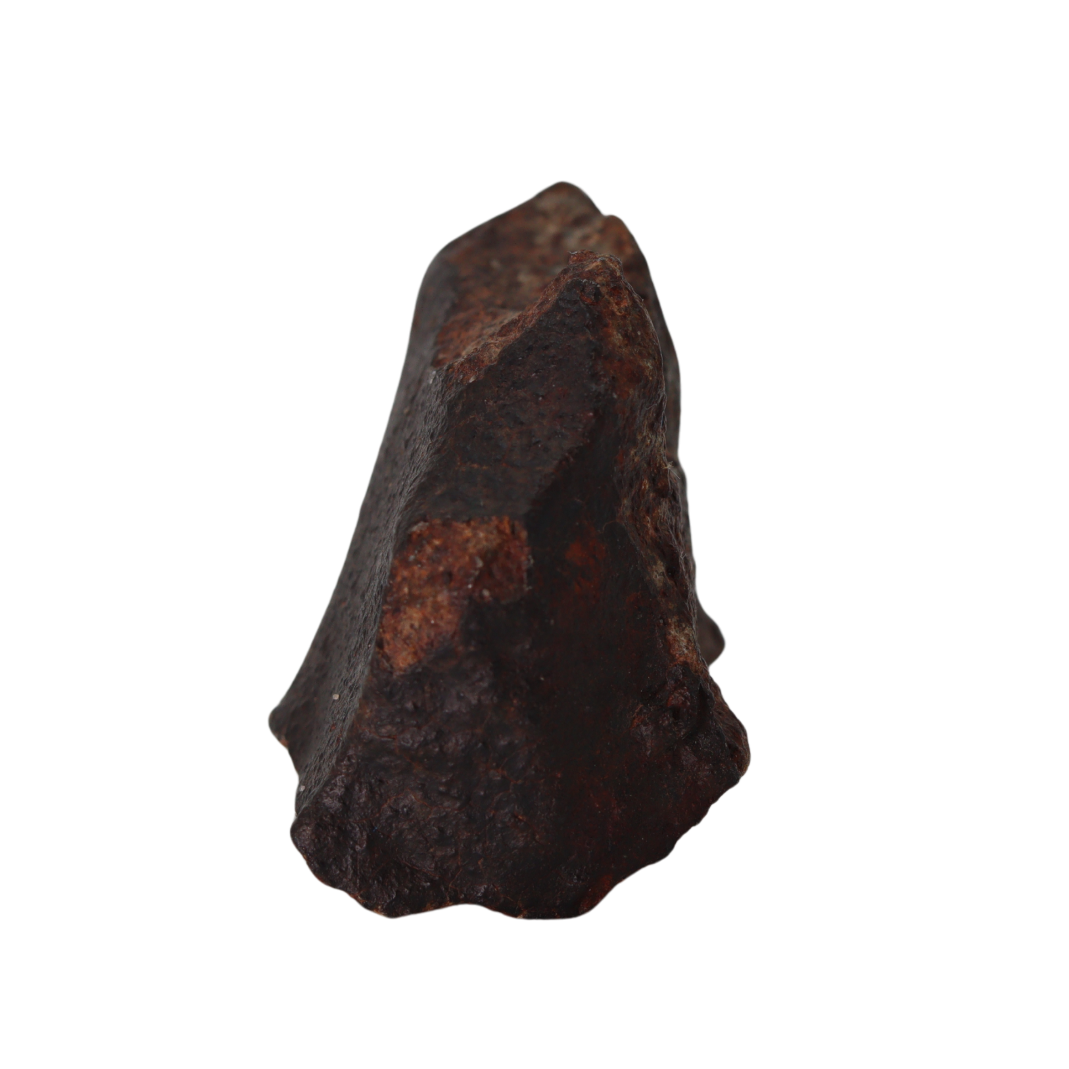 NWA 13281 Meteorite L5 Chondrite (50 g). - MBS meteorite 