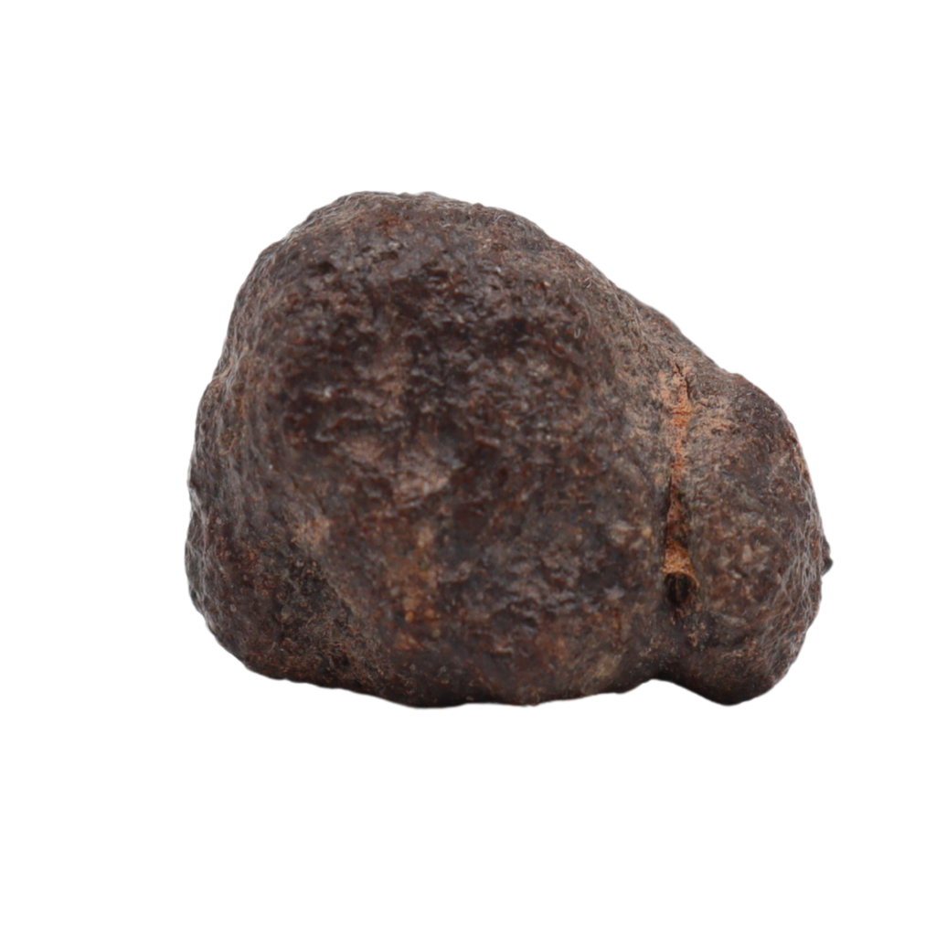 NWA 16208 Rare Primitive Achondrite Winonaite (6.6 g). - MBS meteorite 