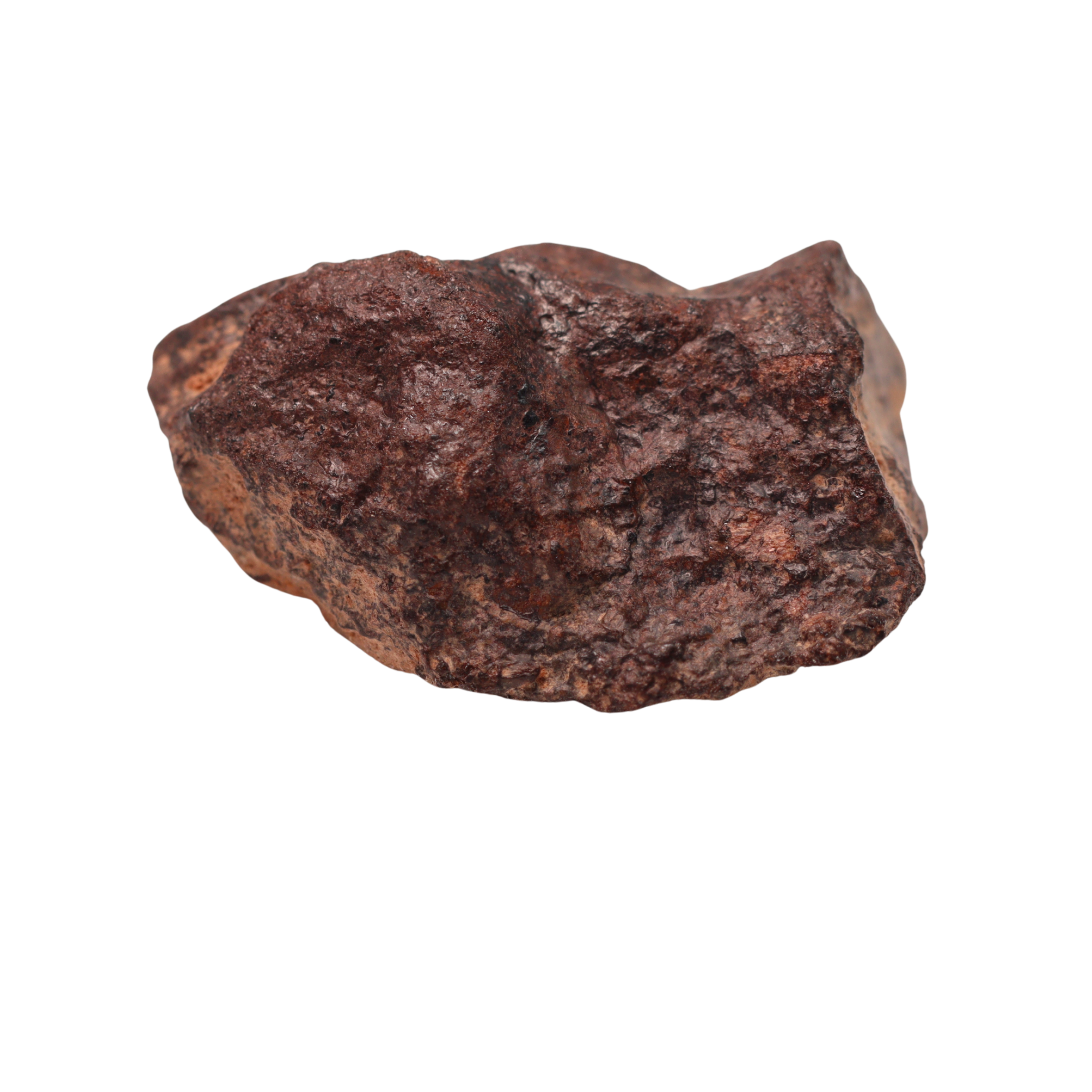 Rafsa 007 Meteorite Angrite Achondrite (3.8 g) - MBS meteorite 