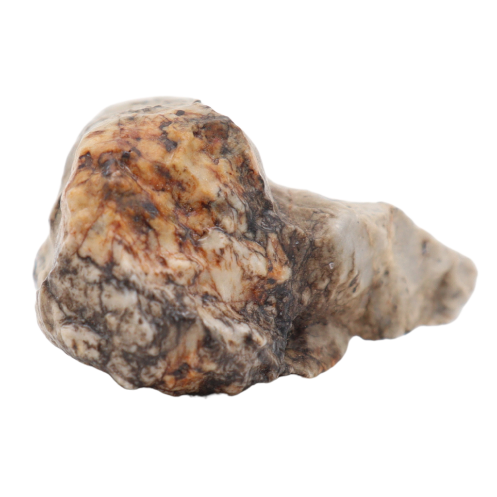 Djoua 001 Meteorite Aubrite Enstatite Achondrite (12.1 g). - MBS meteorite 