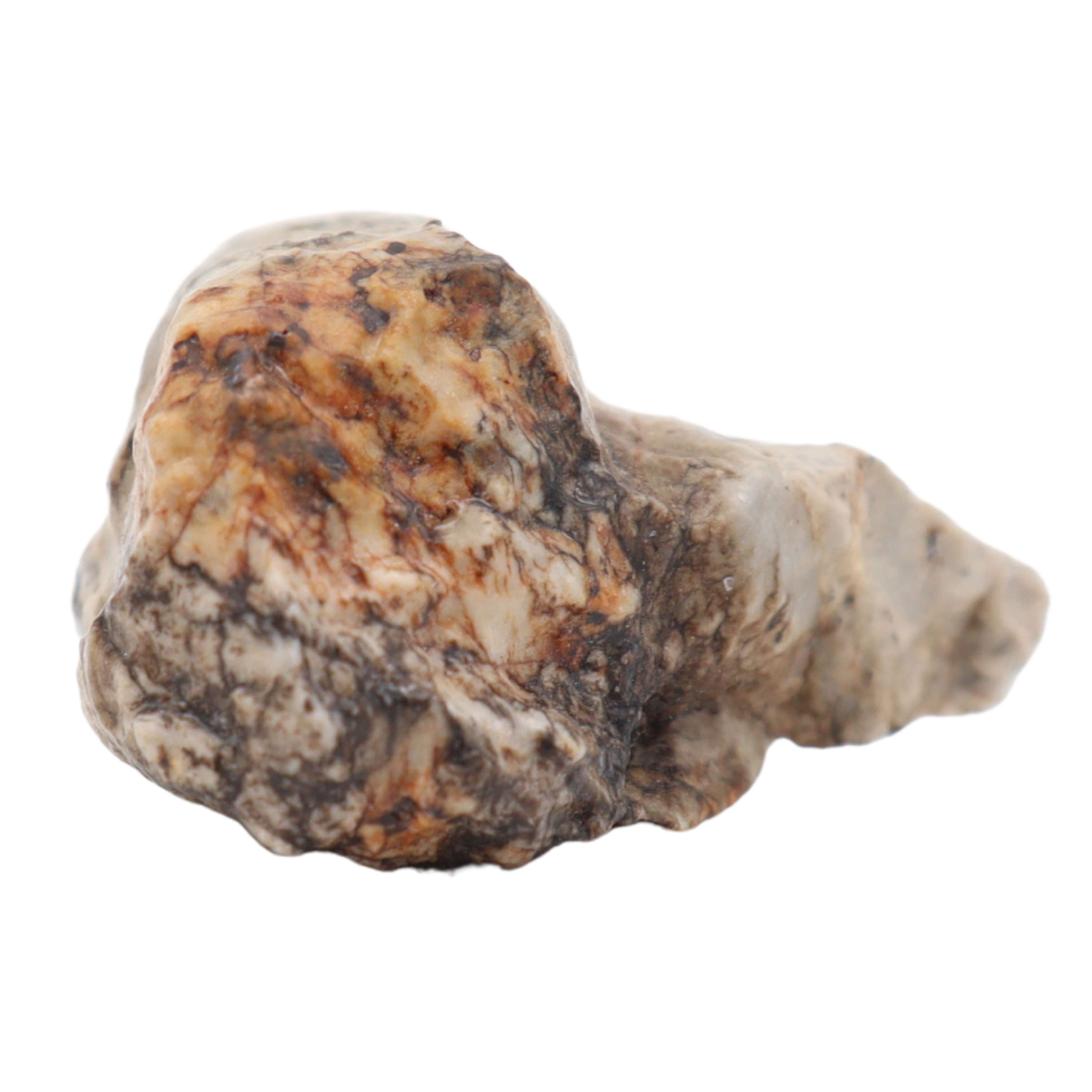 Djoua 001 Meteorite Aubrite Enstatite Achondrite (12.1 g). - MBS meteorite 