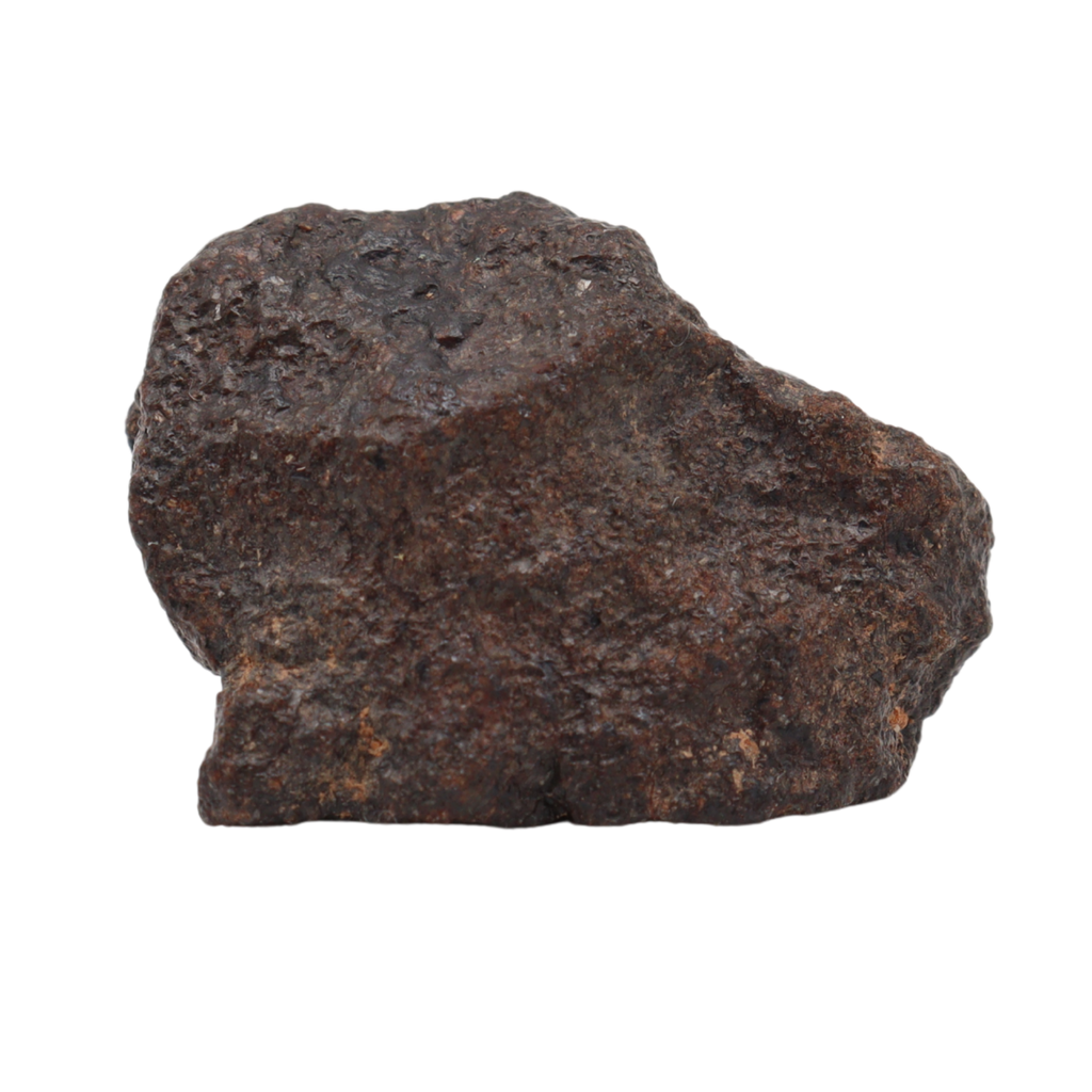 NWA 16208 - Rare Primitive Achondrite Winonaite (9.9 g). - MBS meteorite 