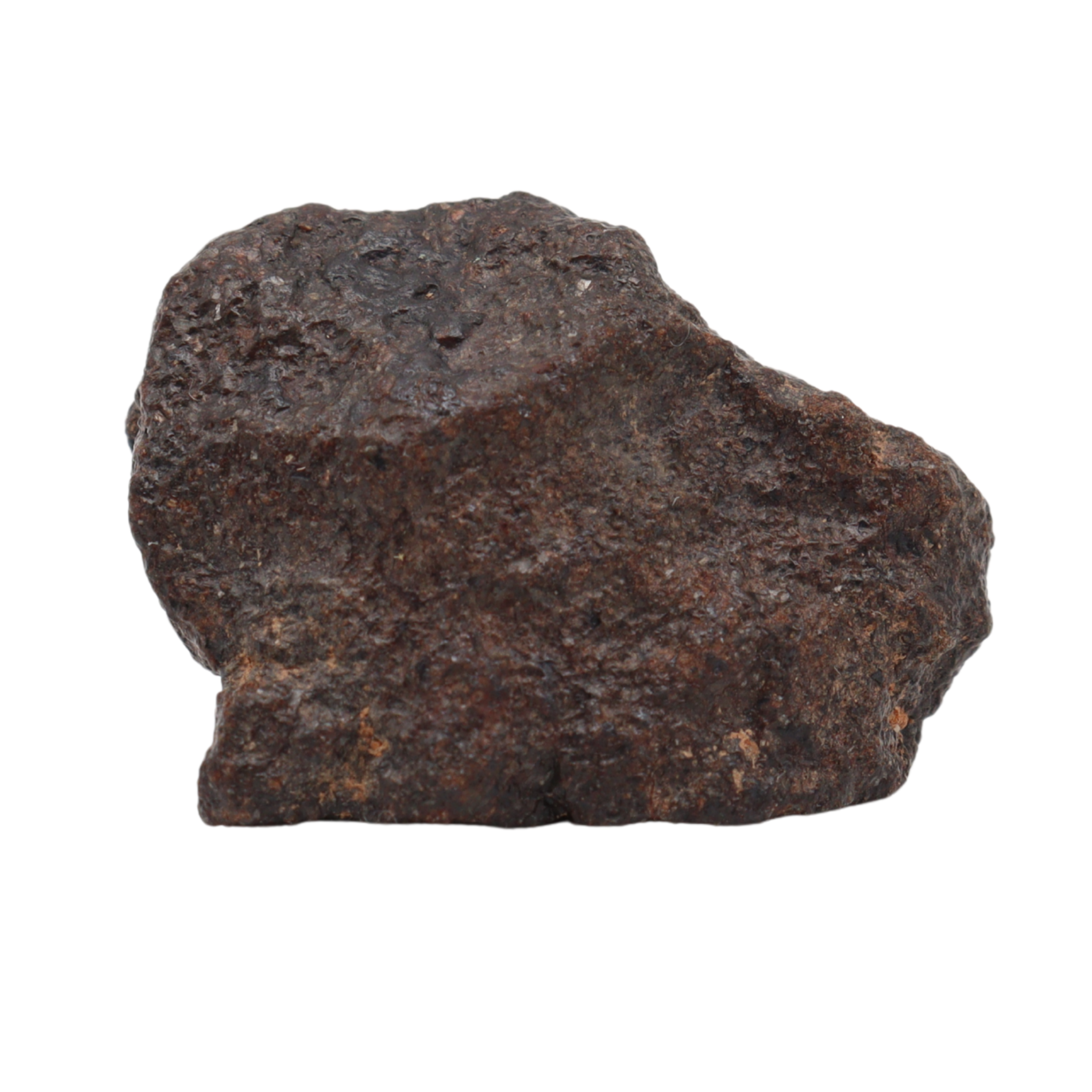 NWA 16208 - Rare Primitive Achondrite Winonaite (9.9 g). - MBS meteorite 