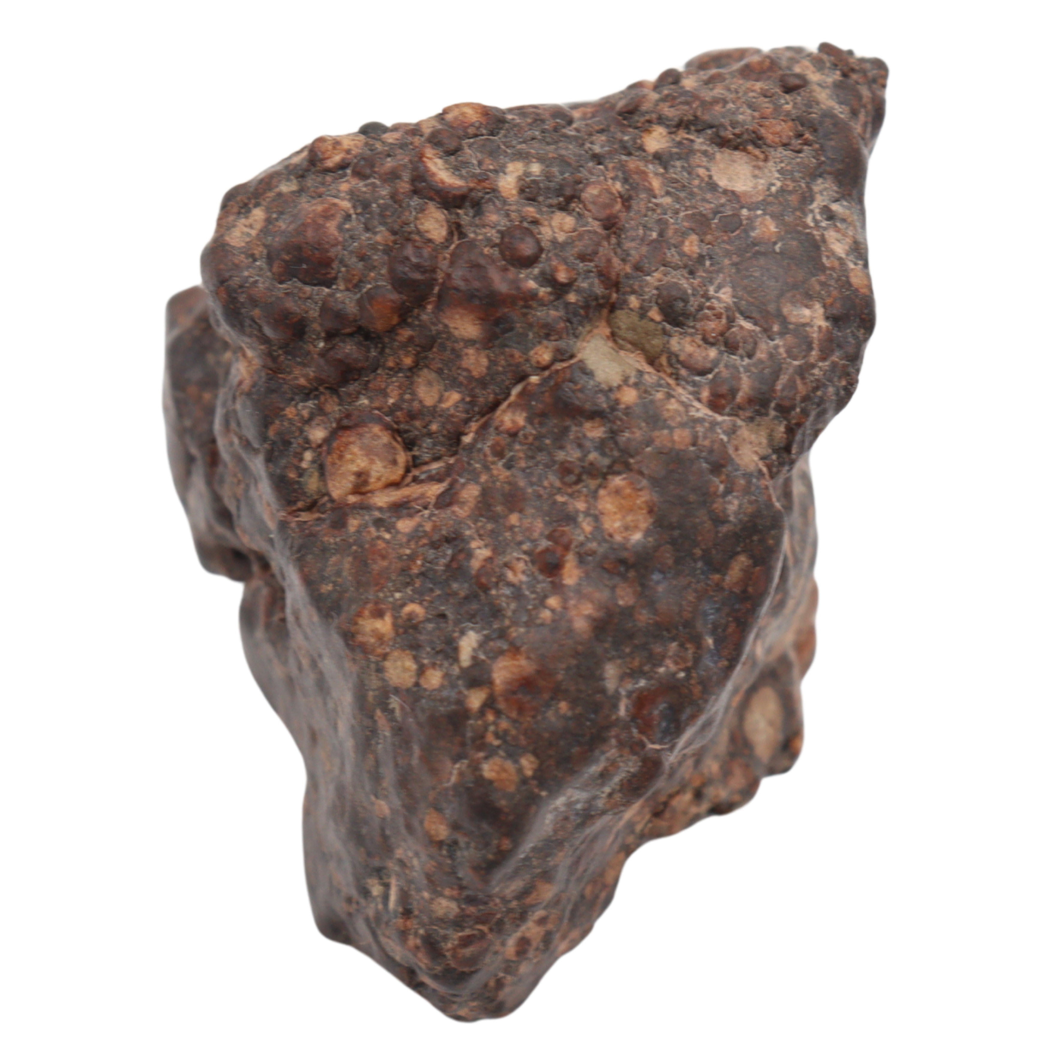 Erg Chech 008 Meteorite Carbonaceous Chondrite CR2 38.9 g - MBS meteorite 