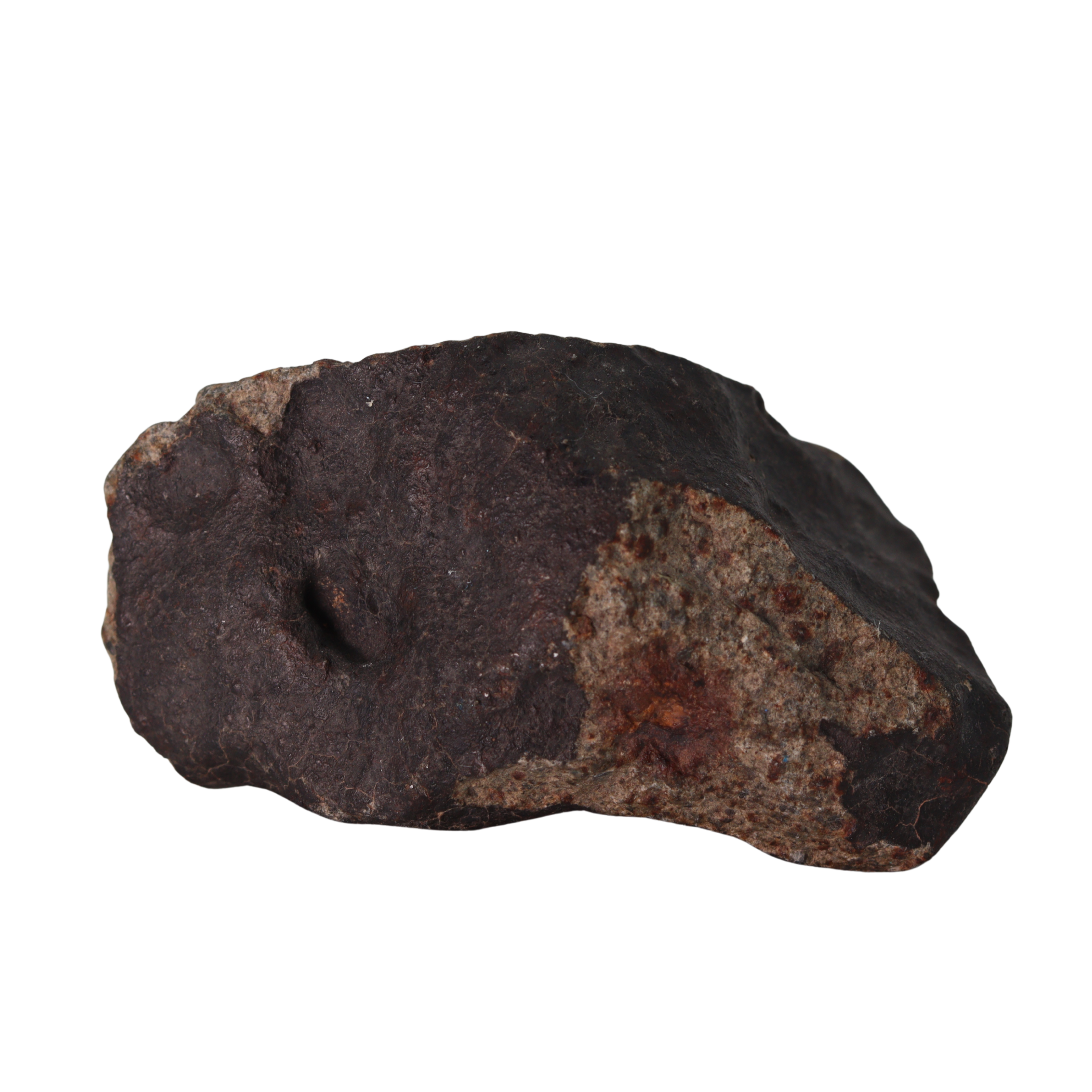 NWA 13281 Meteorite L5 Chondrite (110 g). - MBS meteorite 