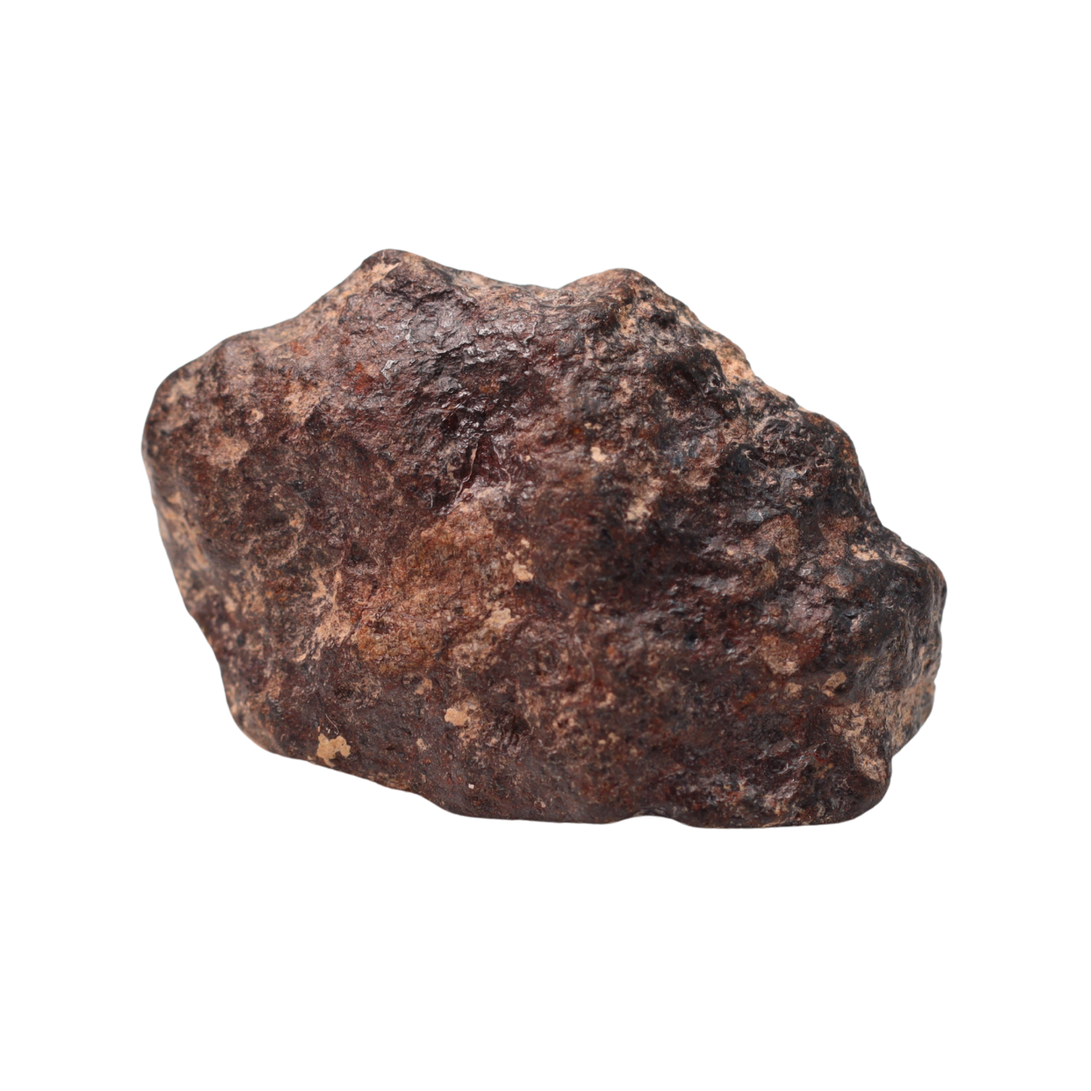 Rafsa 007 Meteorite Angrite Achondrite (5.4 g) - MBS meteorite 
