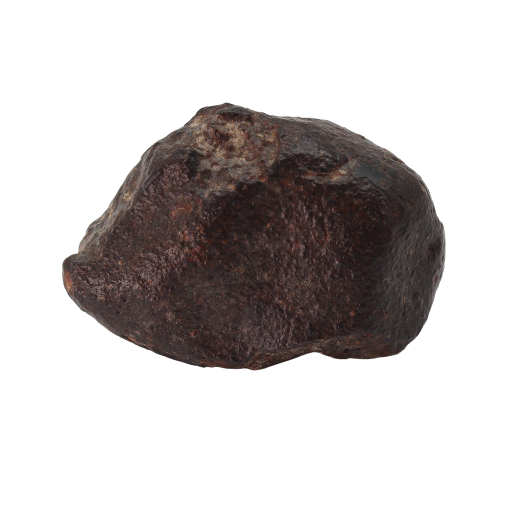 NWA 869 Meteorite - Famous L3-6 Regolith Breccia (42.09 g). - MBS meteorite 