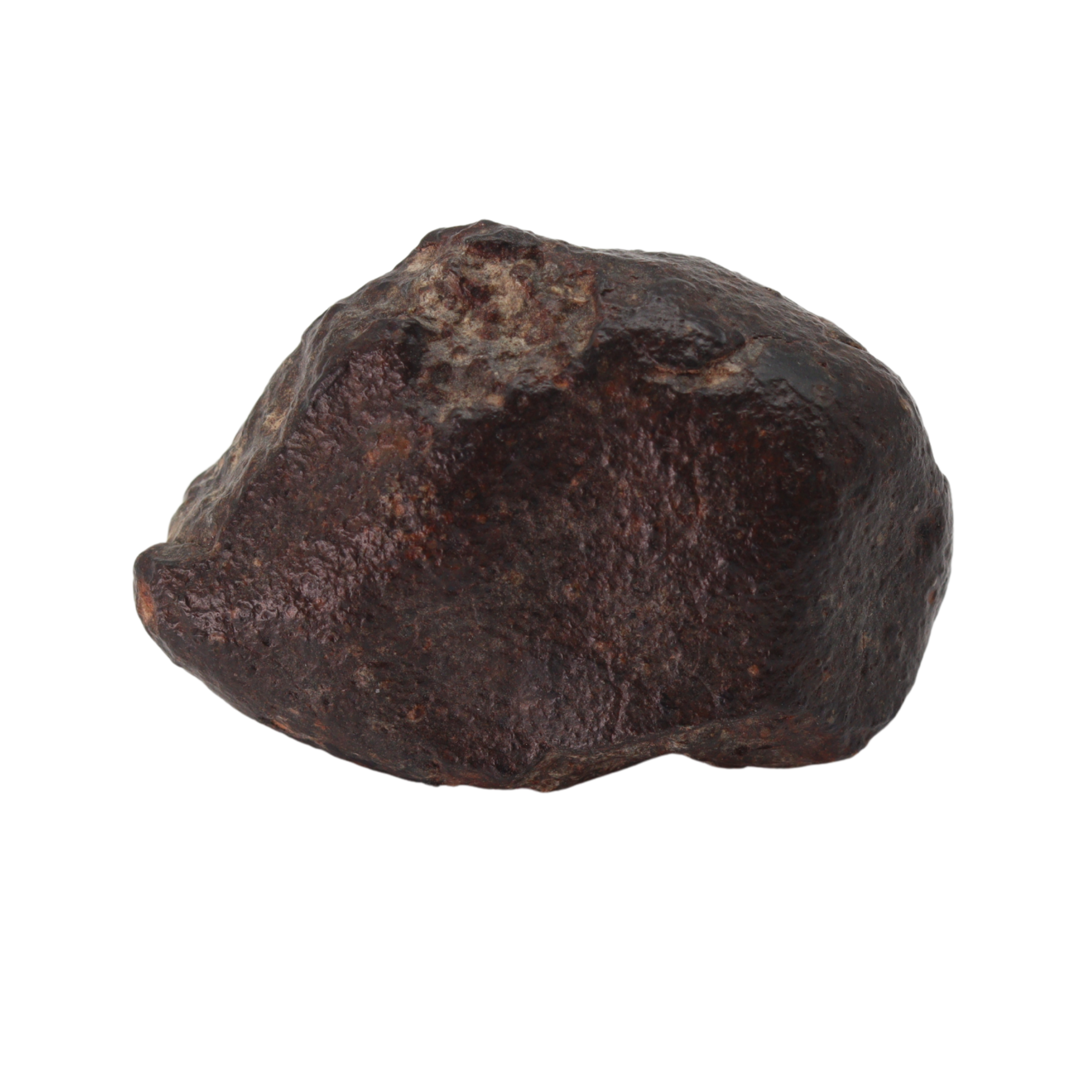 NWA 869 Meteorite - Famous L3-6 Regolith Breccia (42.09 g). - MBS meteorite 