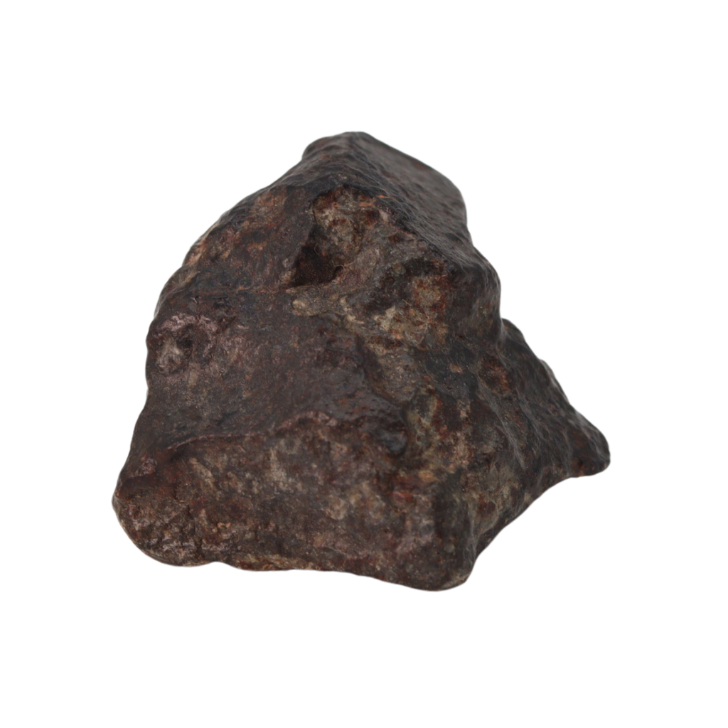 NWA 869 Meteorite Ordinary Chondrite Regolith Breccia (15.36 g) - MBS meteorite 