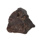 NWA 869 Meteorite Ordinary Chondrite Regolith Breccia (15.36 g) - MBS meteorite 