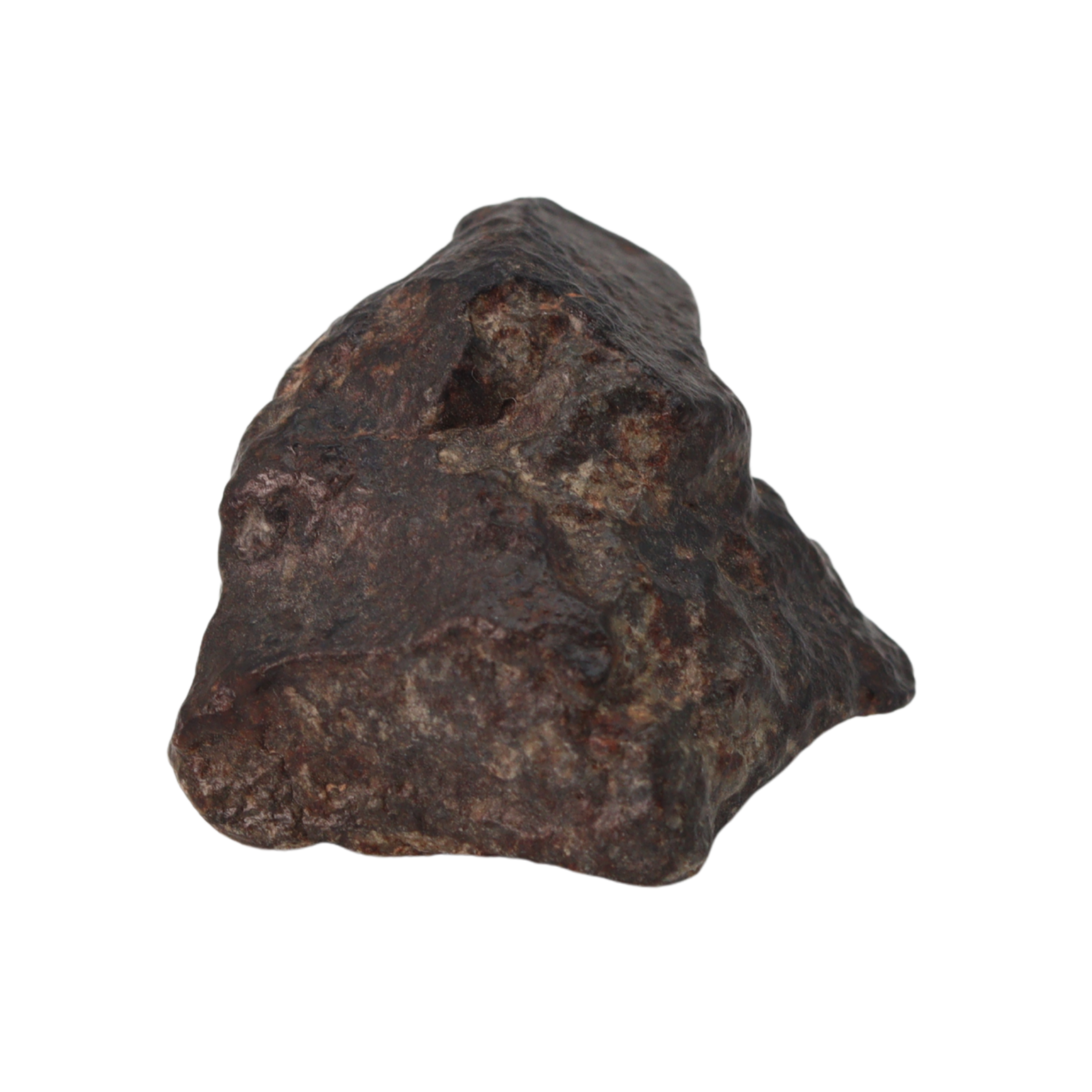 NWA 869 Meteorite Ordinary Chondrite Regolith Breccia (15.36 g) - MBS meteorite 
