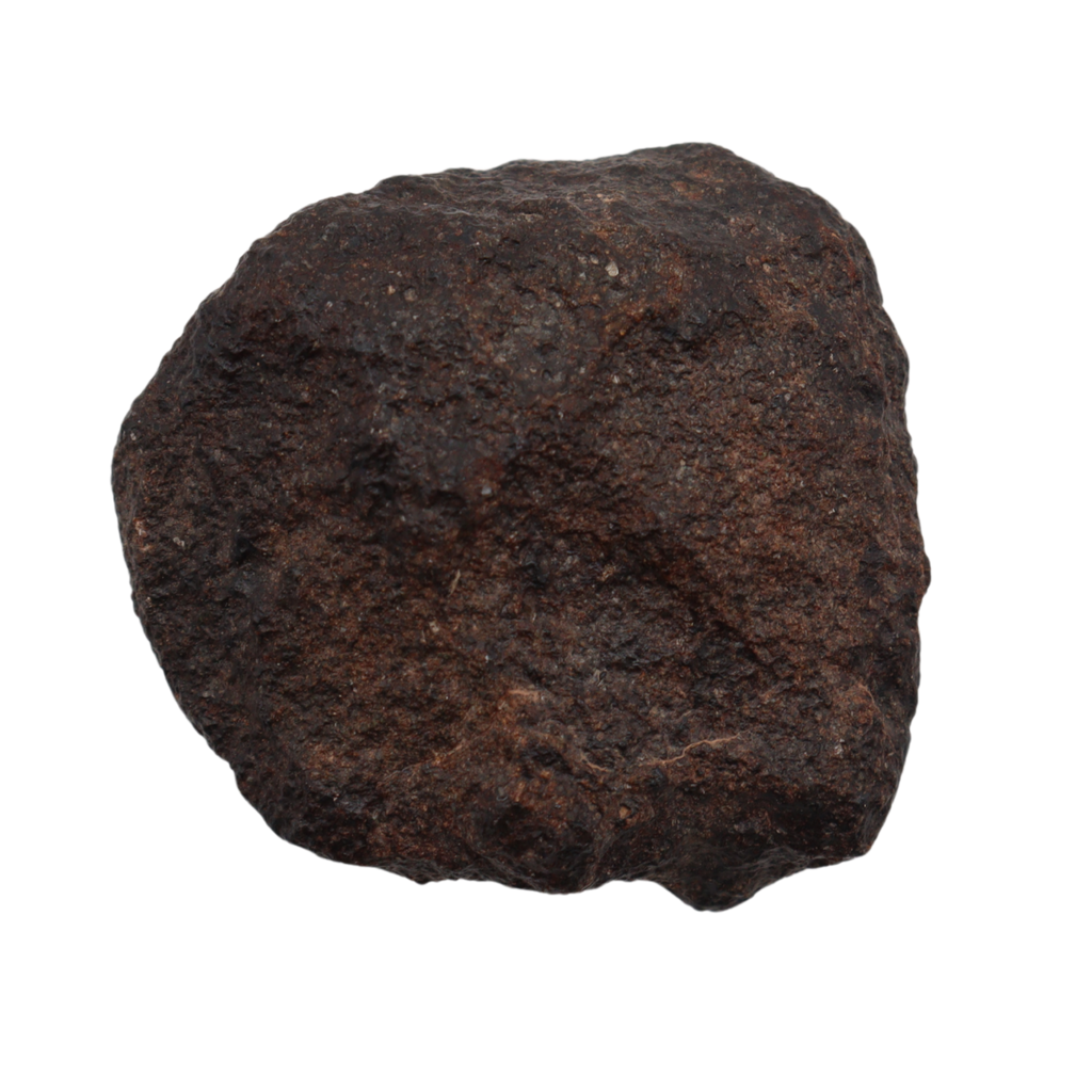 NWA 16208 Meteorite Winonaite Primitive Achondrite(14.2 g). - MBS meteorite 