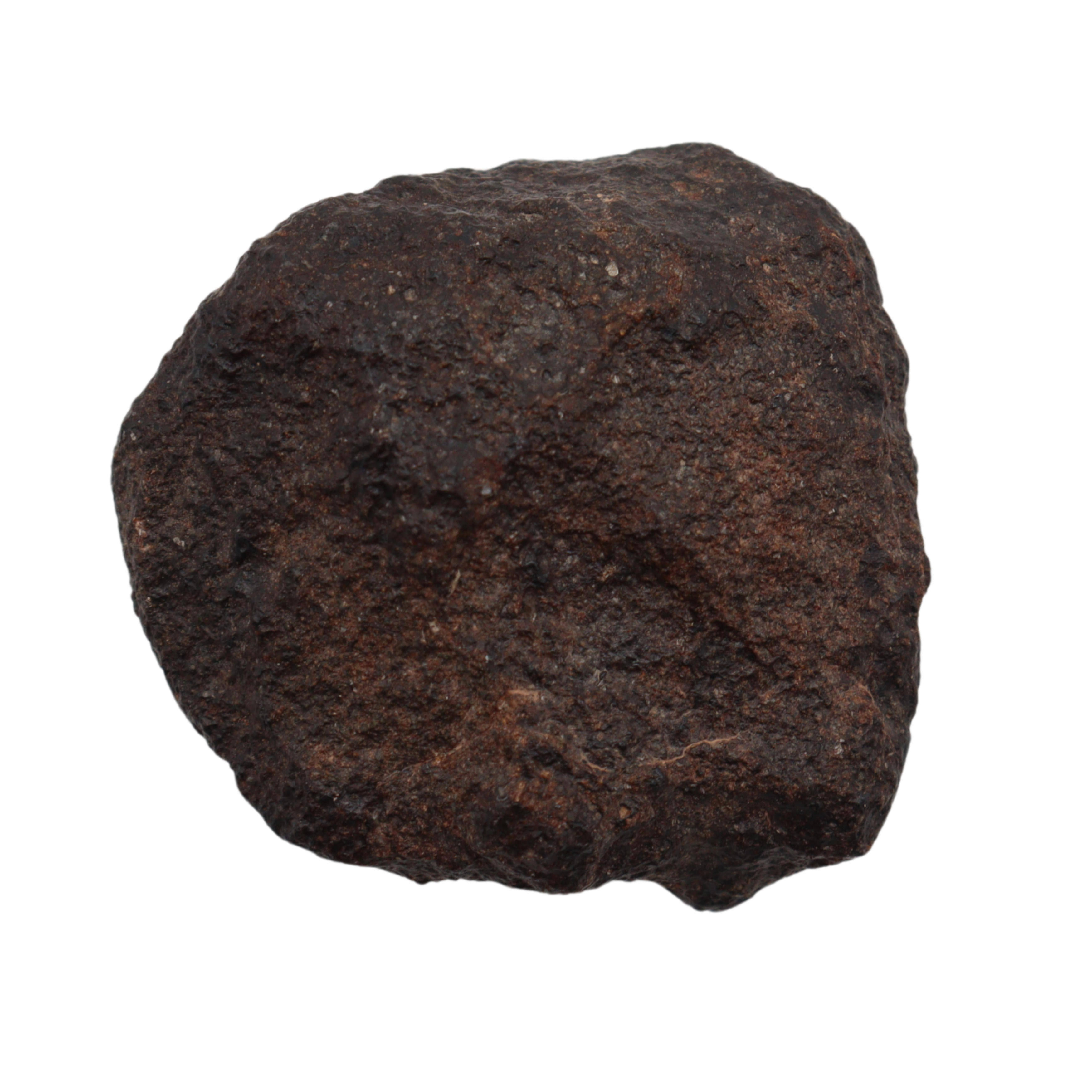 NWA 16208 Meteorite Winonaite Primitive Achondrite(14.2 g). - MBS meteorite 