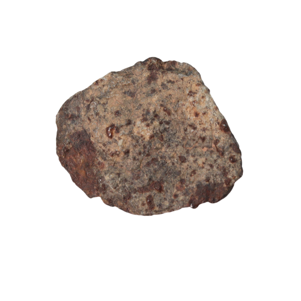 NWA 869 Meteorite Ordinary Chondrite Regolith Breccia (4.4 g) - MBS meteorite 