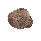 NWA 869 Meteorite Ordinary Chondrite Regolith Breccia (4.4 g) - MBS meteorite 