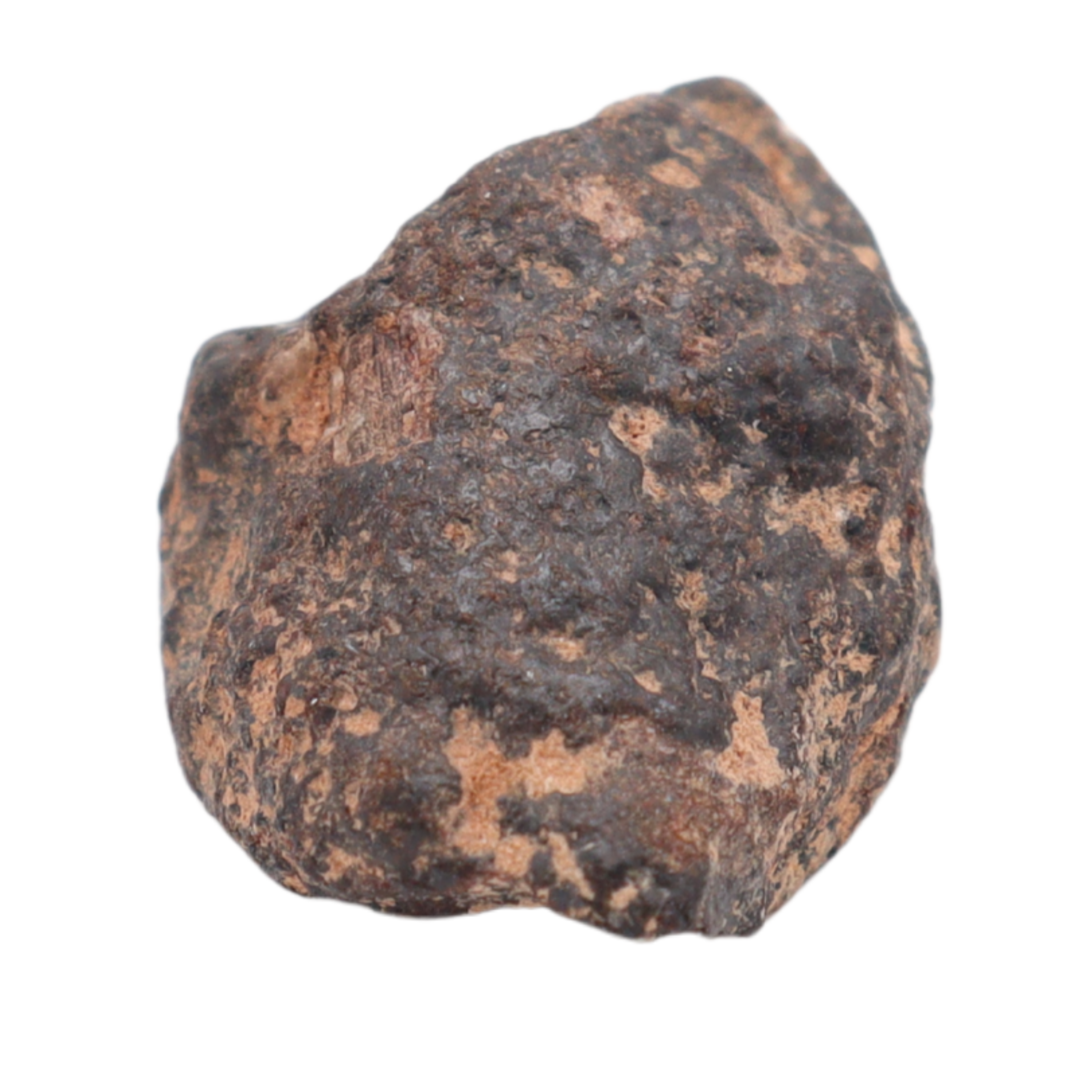 Rafsa 007 Meteorite Plutonic Angrite (3.1 g). - MBS meteorite 