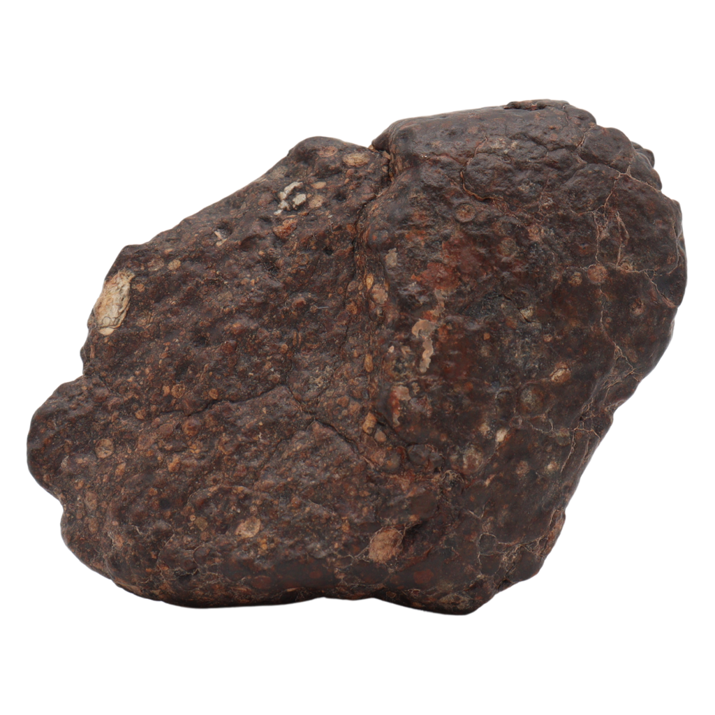 Erg Chech 008 Meteorite Carbonaceous Chondrite CR2 57.5 g. - MBS meteorite 