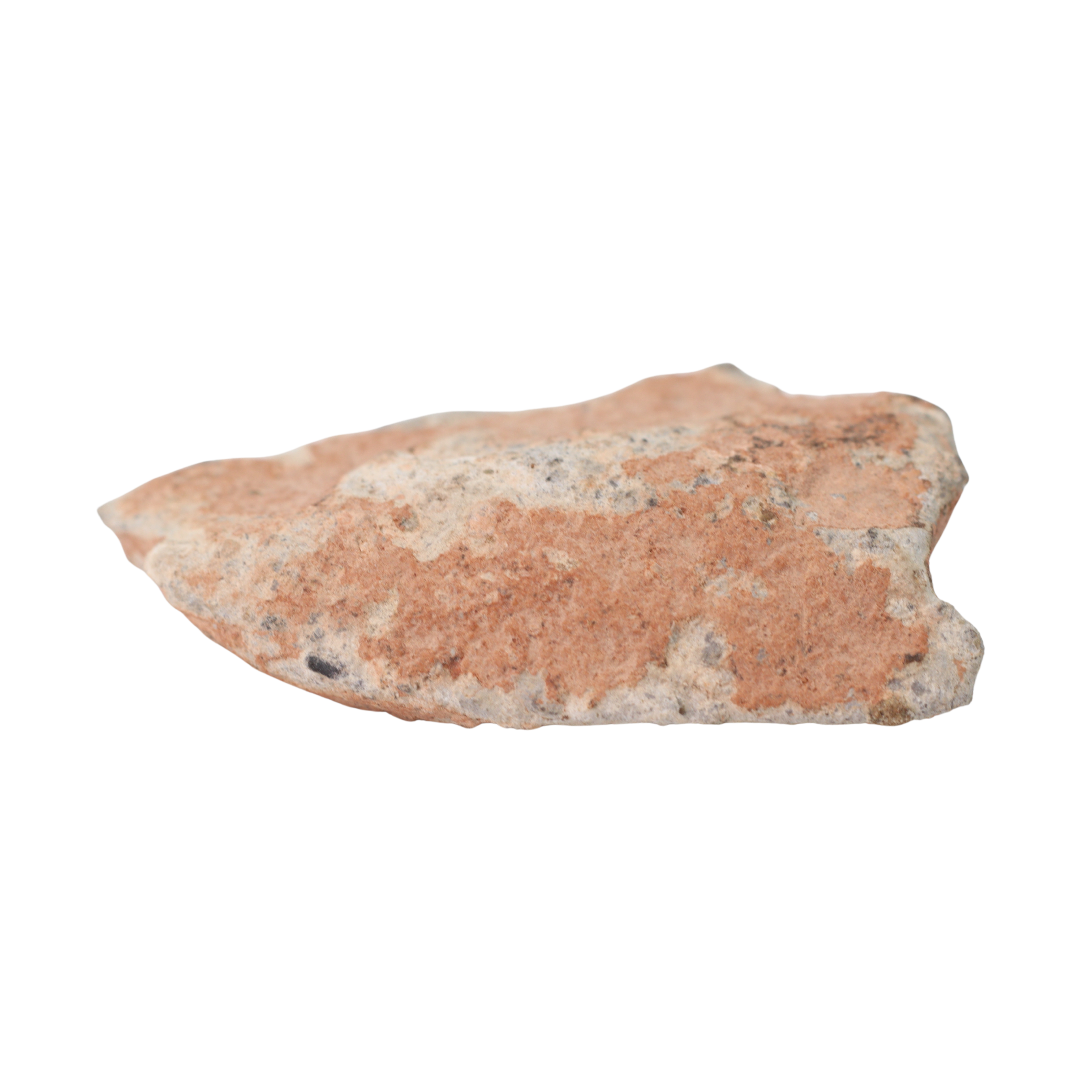 Bechar 003 Meteorite Lunar Feldspathic Breccia (10.2 g) - MBS meteorite 