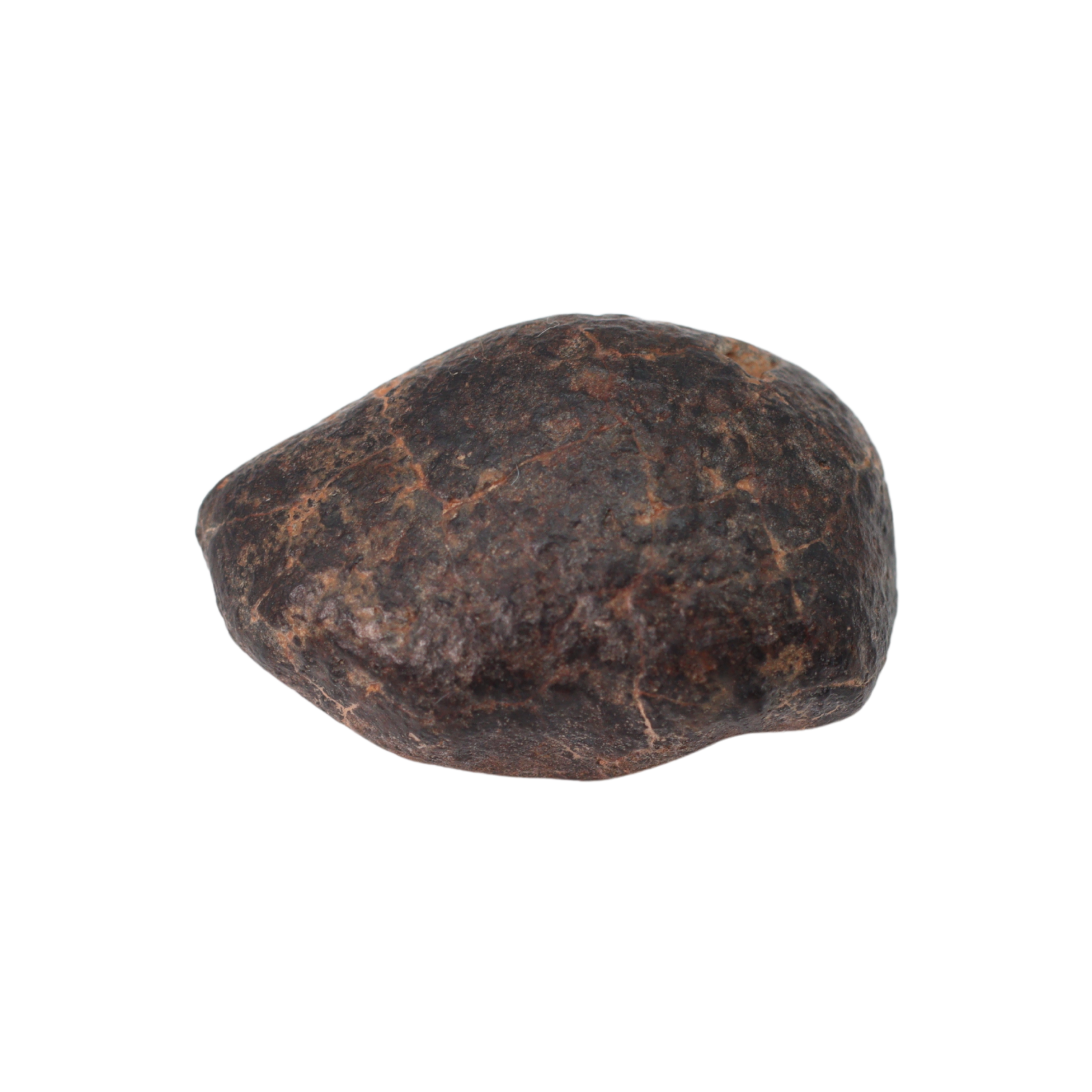 NWA 869 Meteorite Ordinary Chondrite Regolith Breccia (3.09 g) - MBS meteorite 